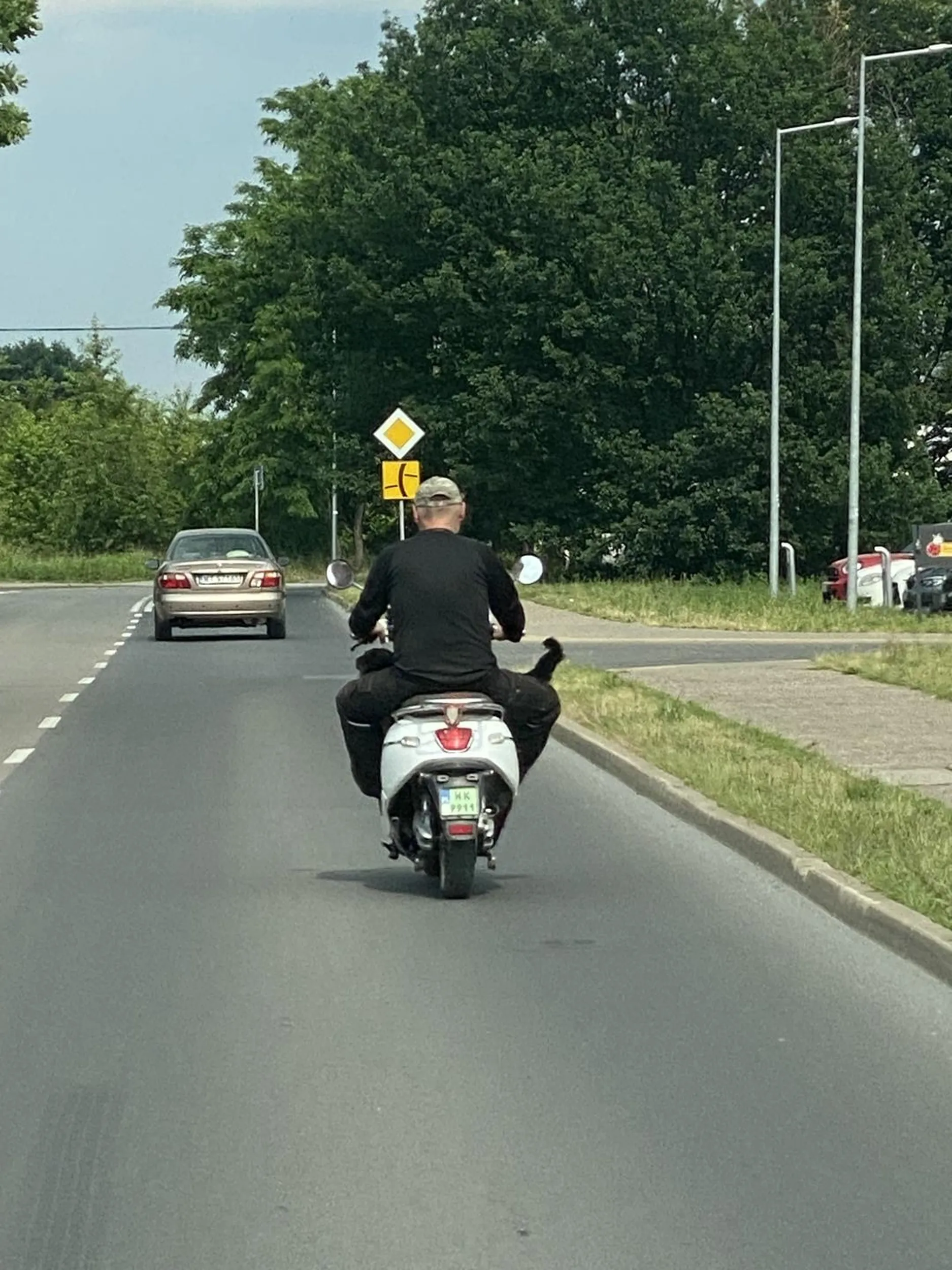 Facet na skuterze, bez kasku, z psem pod nogami. Zdrowo ponad 60km/h ?