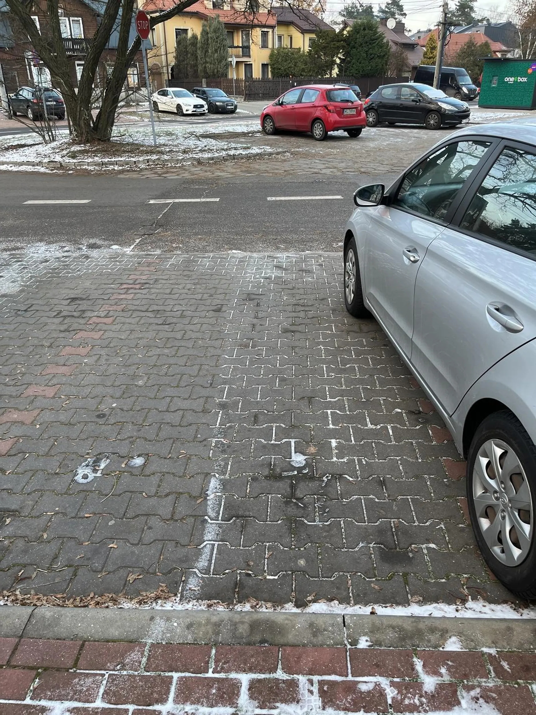 Niekwestionowany kierowca roku, wirtuoz kierownicy, mistrz czterech kółek