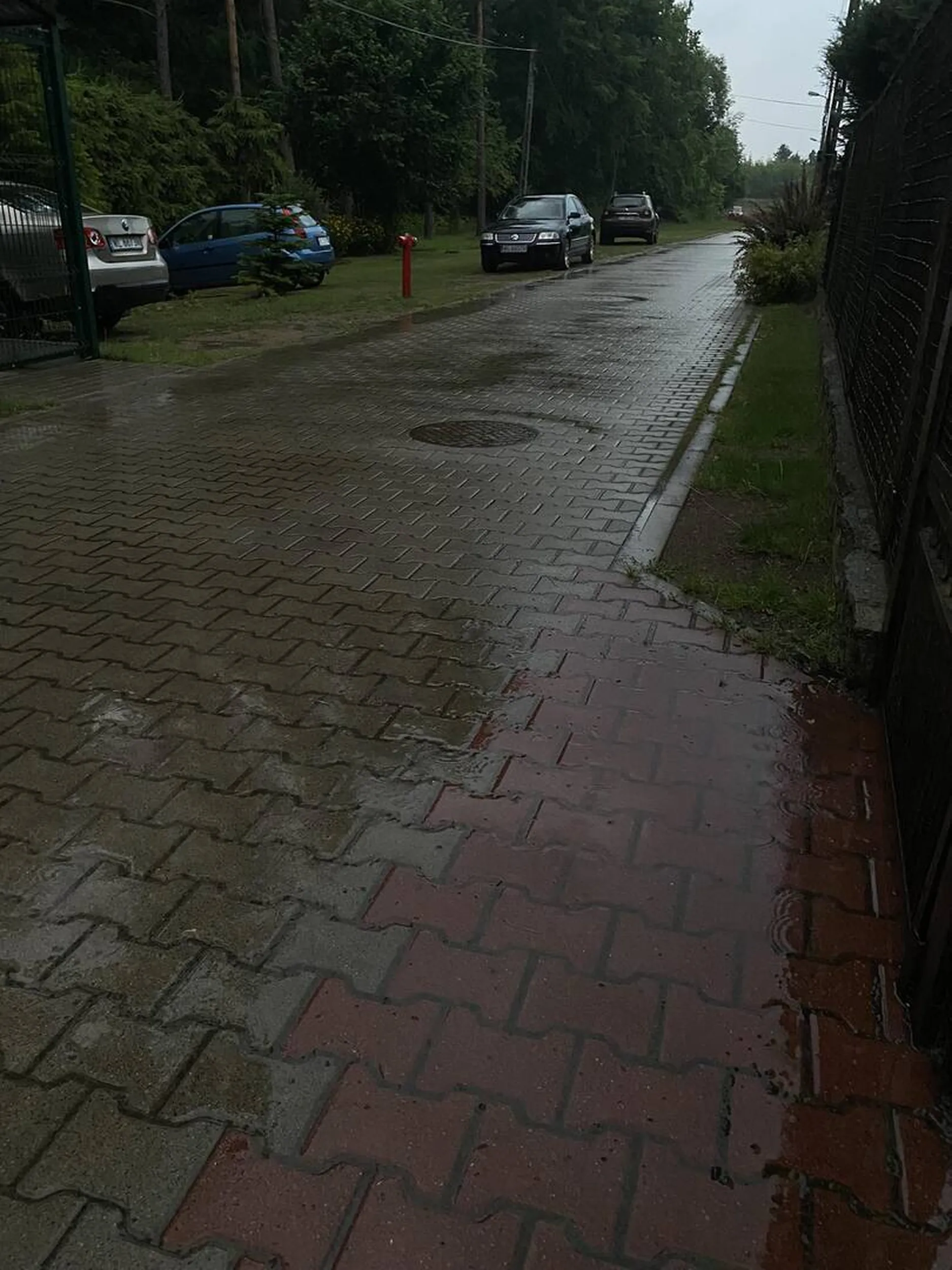 Ma krzywego fiuta, widziałem jak onanizował się więc wiem co mówię