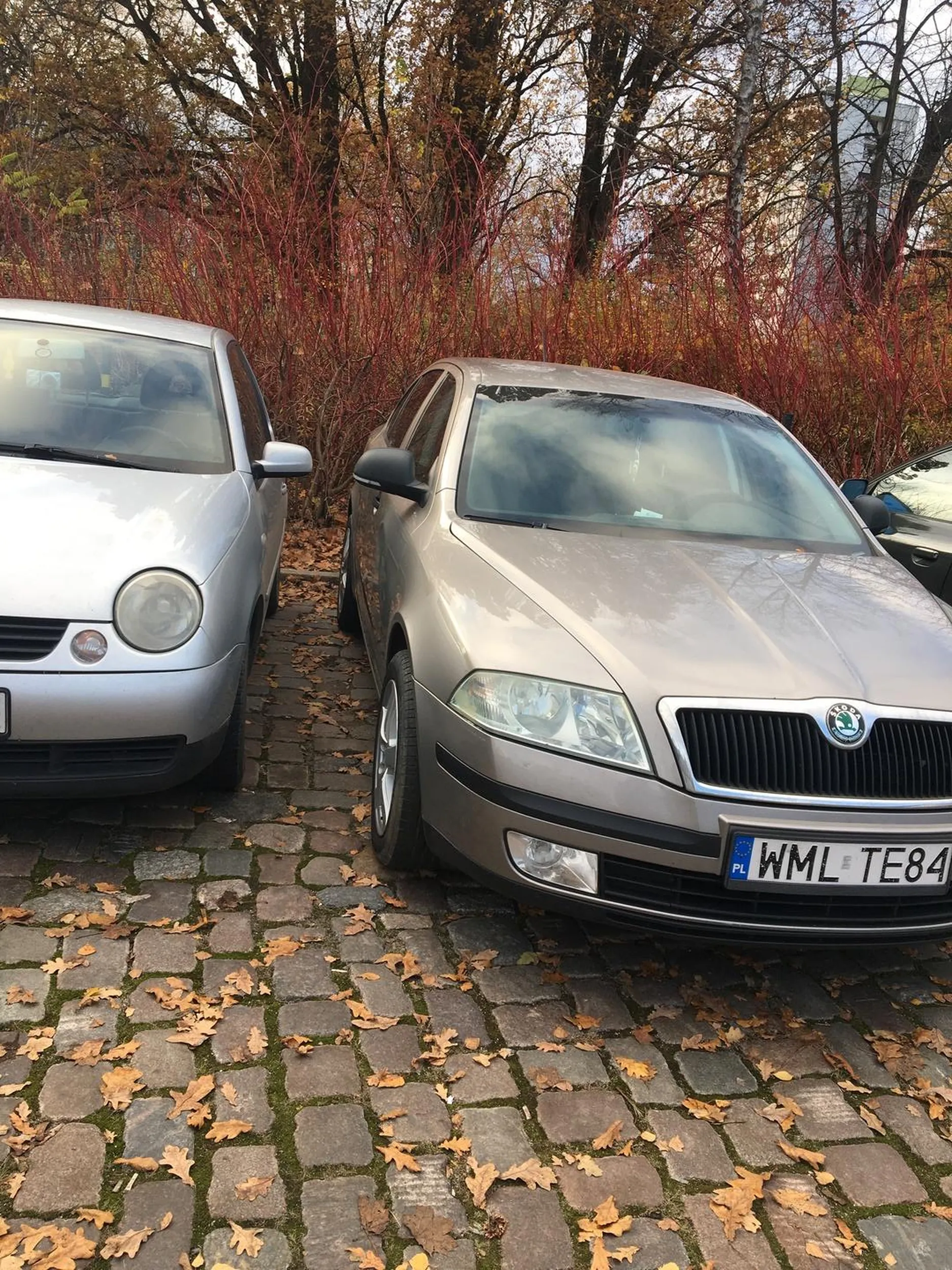 Naucz się parkować cymbale. Bierz pod uwagę ze ludzie maja szersze drzwi w tych małych pizdzikach i ciężko wsiąść:) Używaj troszkę tej resztki mózgu.