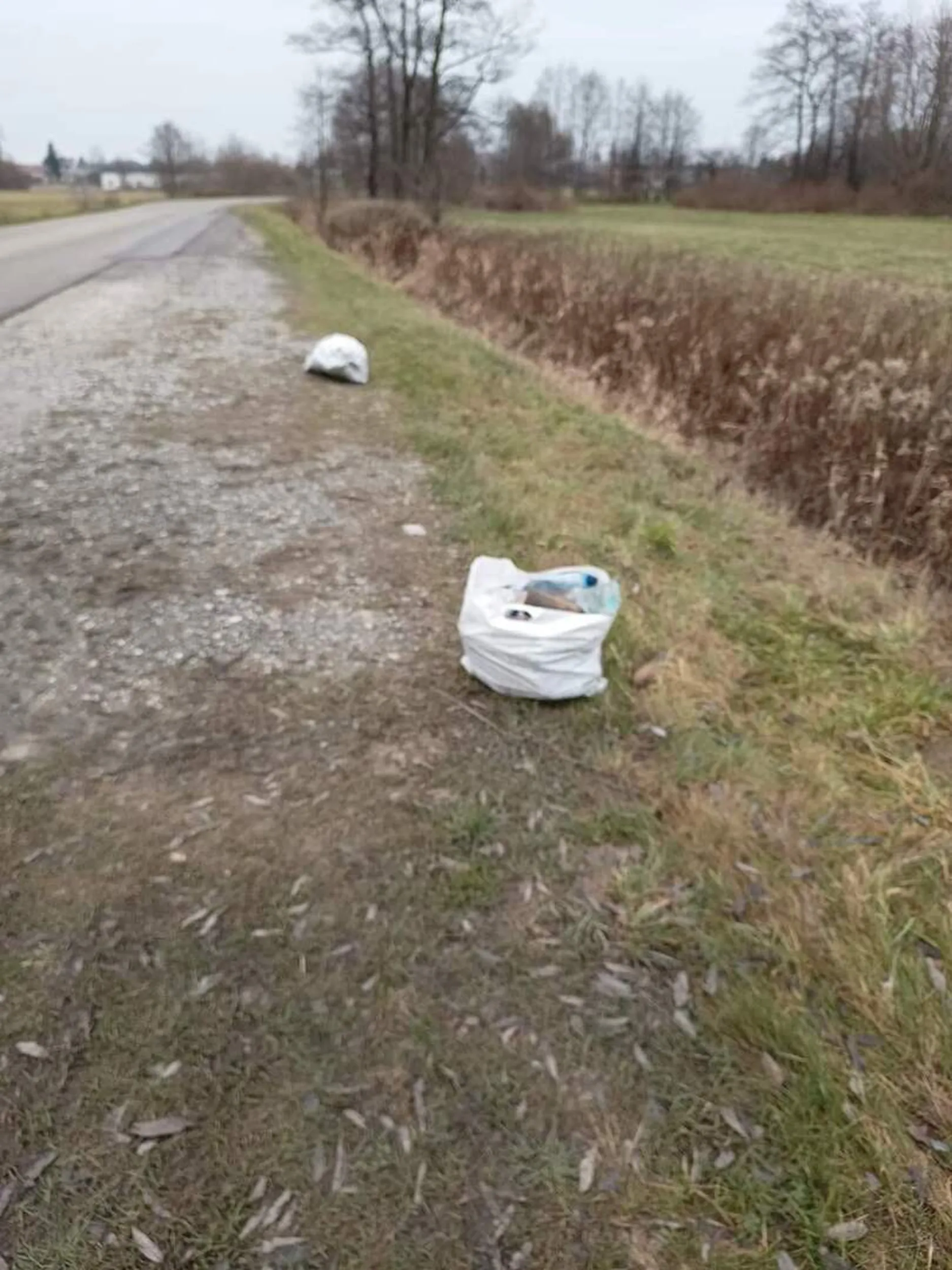 Śmieciarz, rozrzuca worki że śmieciami przy drodze. Nie pomyślał tylko że w śmieciach były bilety parkingowe z nr rejestracyjnym.