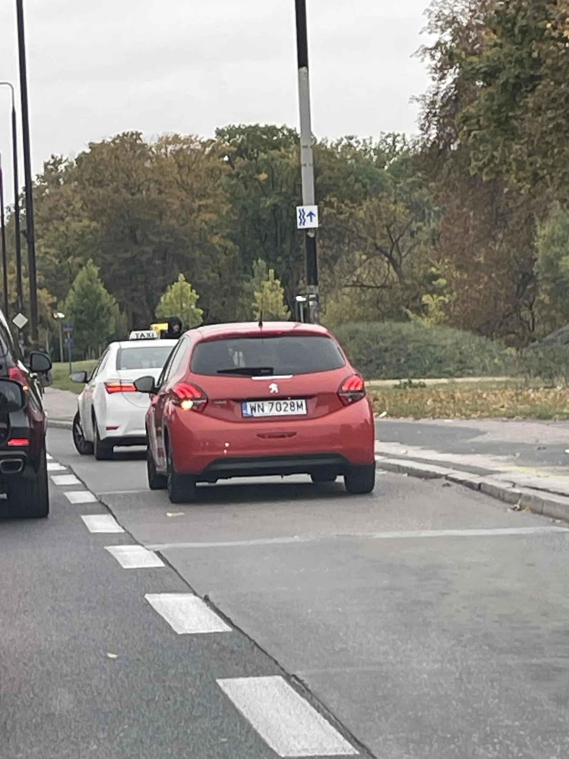 Totalny burak z peugeota