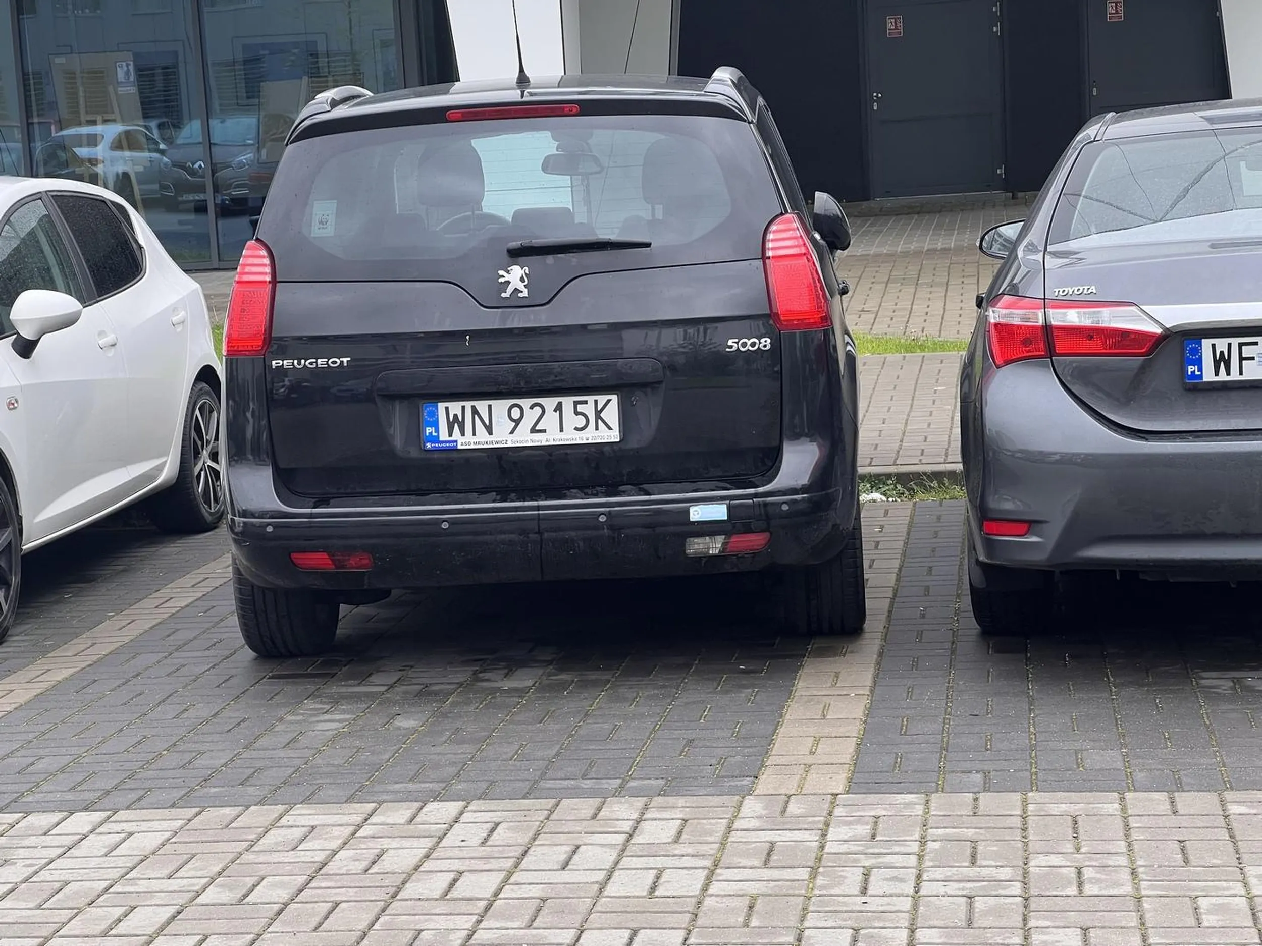 Beton umysłowy typowa krowa co nie umie parkować