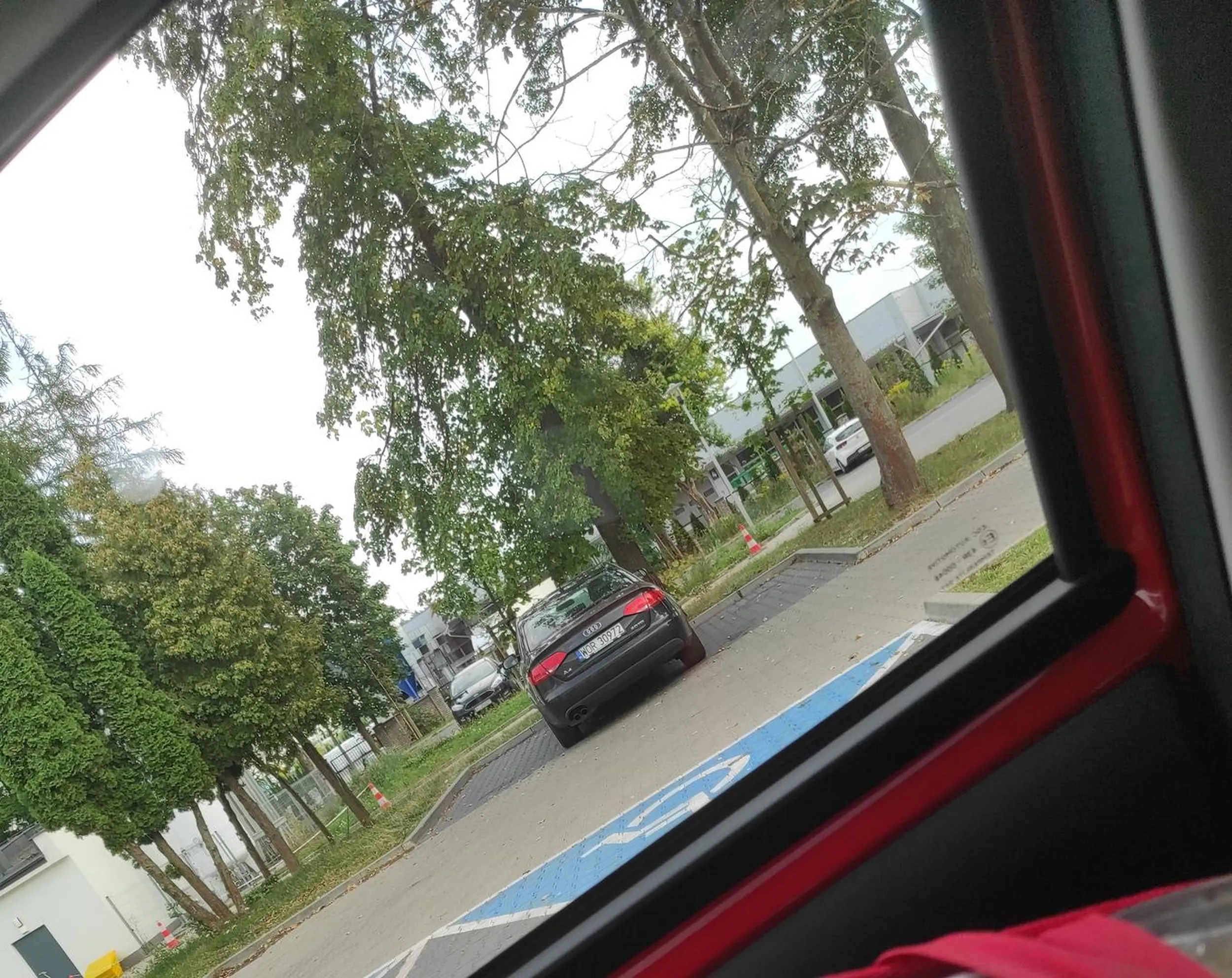 Miszcz parkowania i wyobraźni