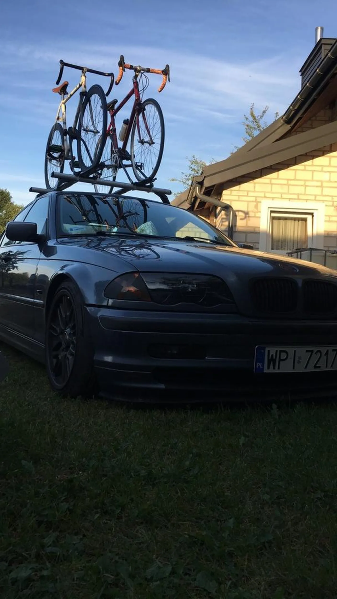 Zajebista glebunia kolego