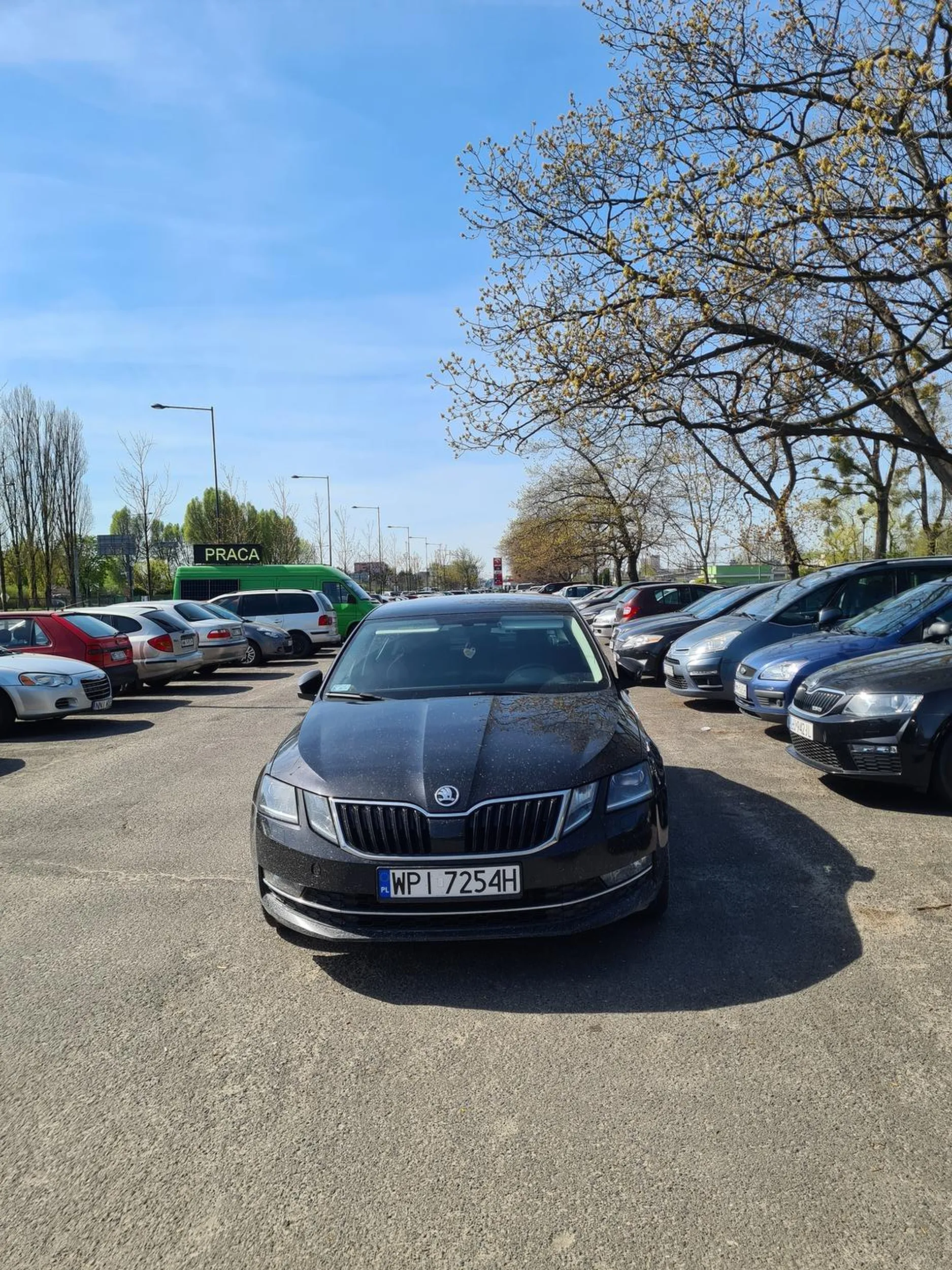 Bezmózg zastawił samochody