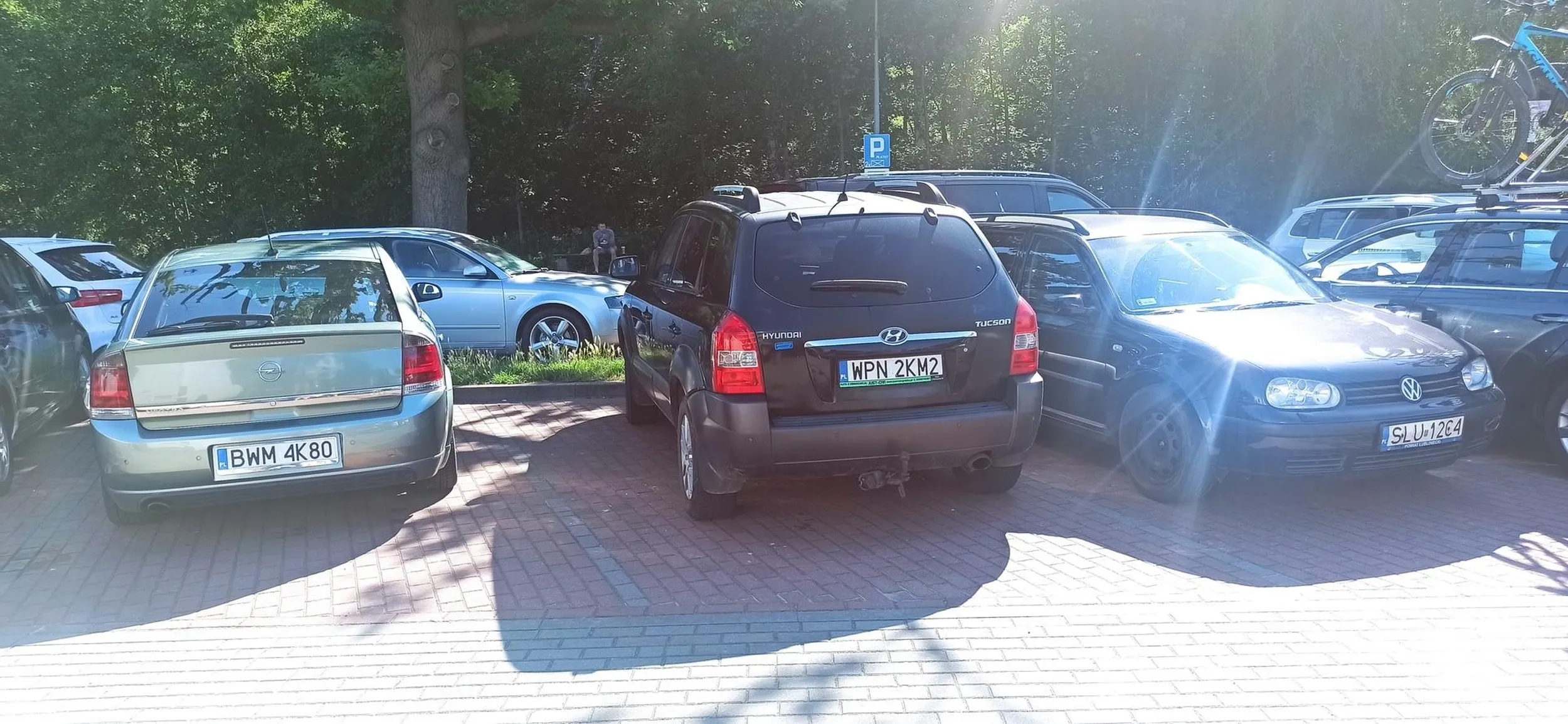 Widać osobnik nie potrafi parkować...