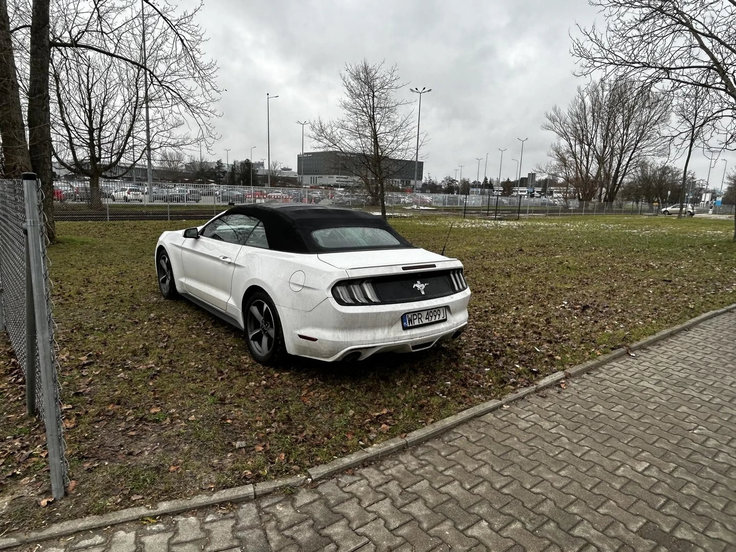 Parkuje na trawie przy Orlenie koło lotniska Chopina. Już dwa razy