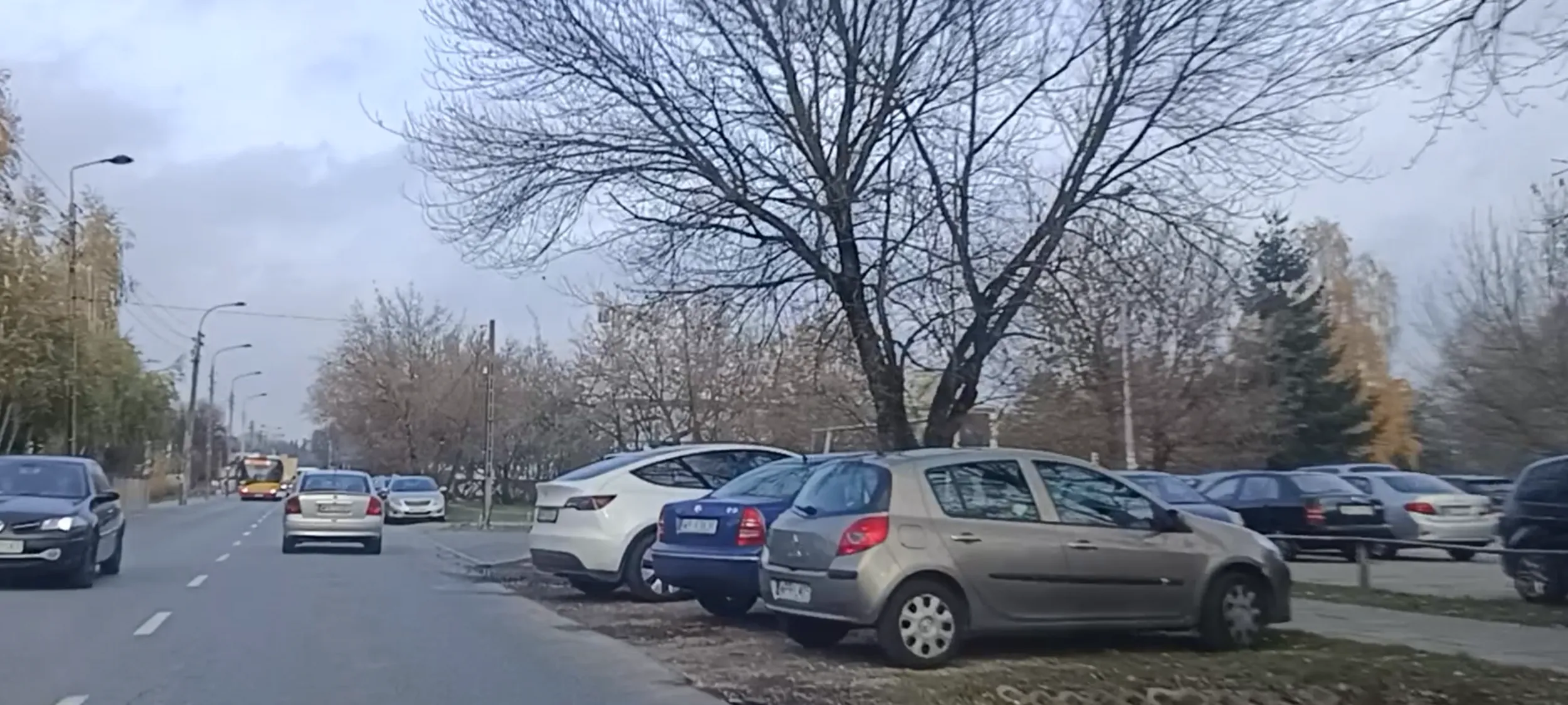 W Warszawie na trawie się nie parkuje.