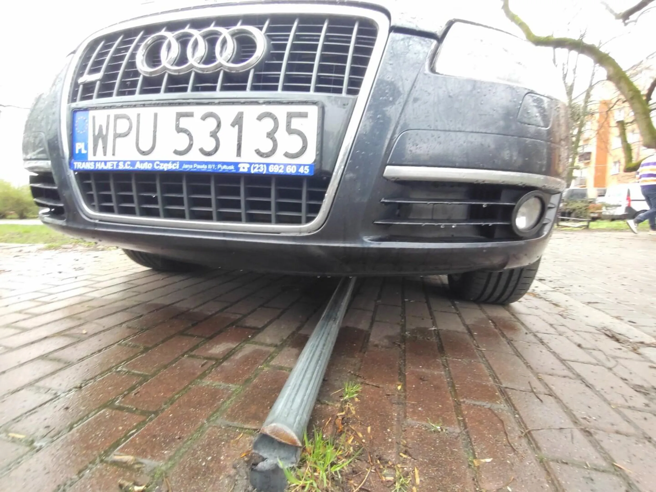 Szkoła parkowania Audi LOL