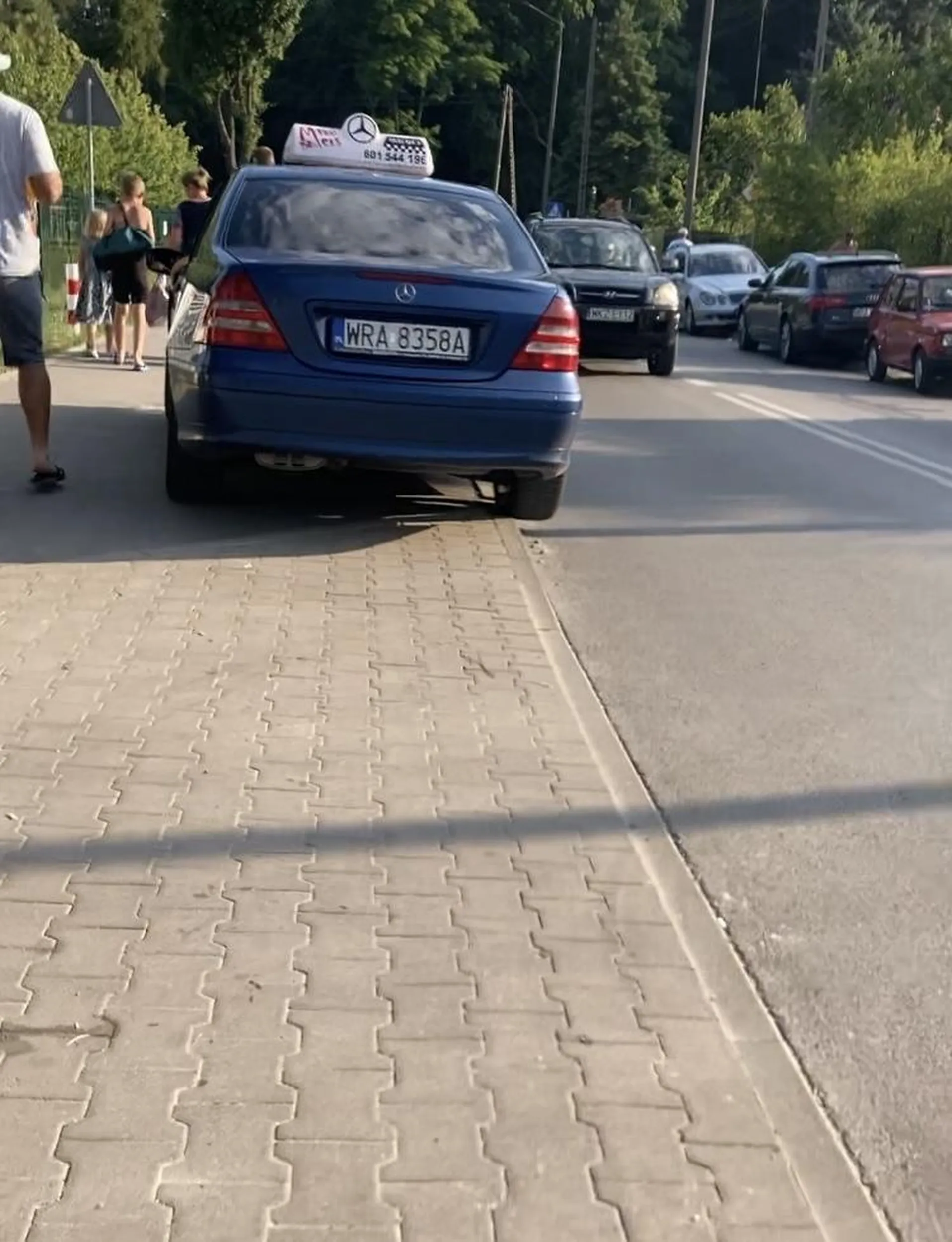 Kierowco zawodowy, mógłby dać pan przykład jak należy parkować a nie. Wiem, że niedziela nad stawem to pełno ludzi więc i może jakiś kurs się trafi.