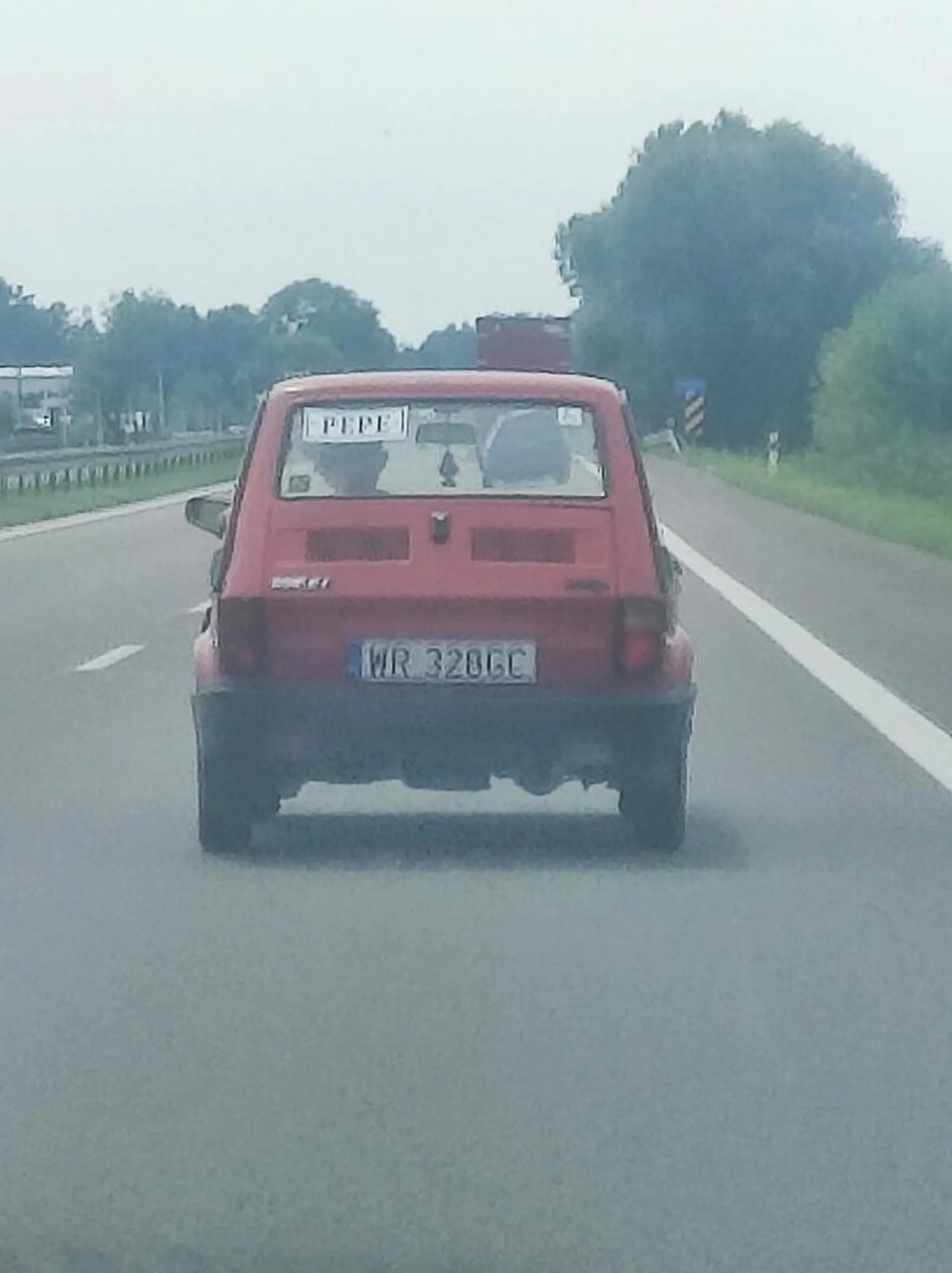 Fajna morda Mega maluszek PEPE