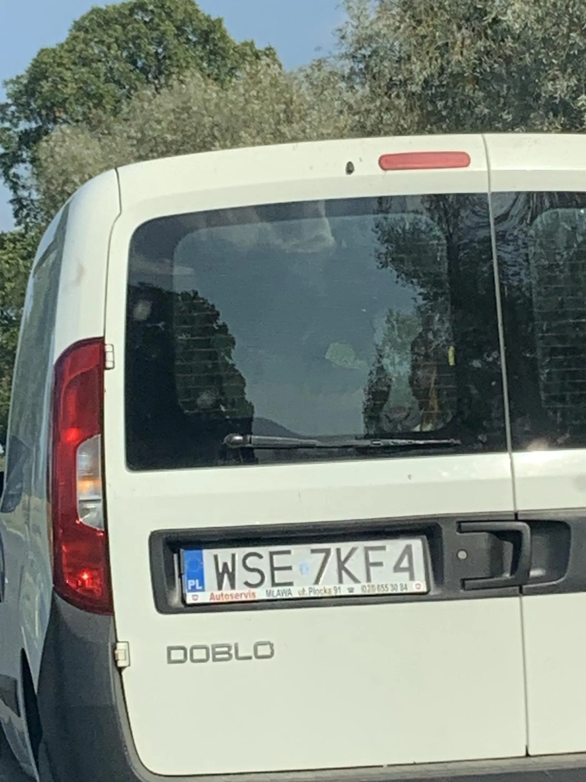 Pan w okolicy Mokrzk chyba nie do końca wie jak się przewozi zwierzęta hodowlane.