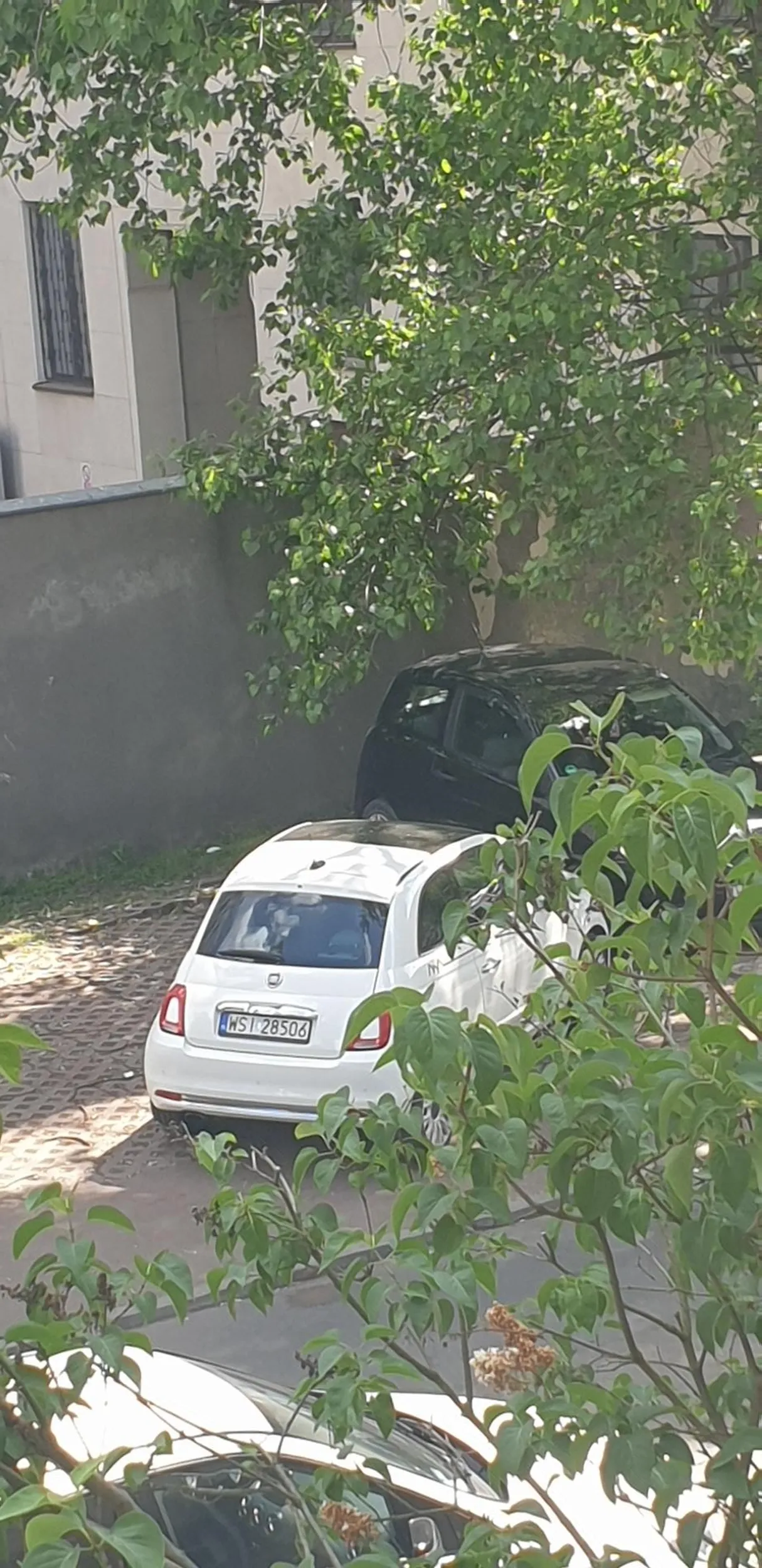 pan sie parkowac nauczy ;)