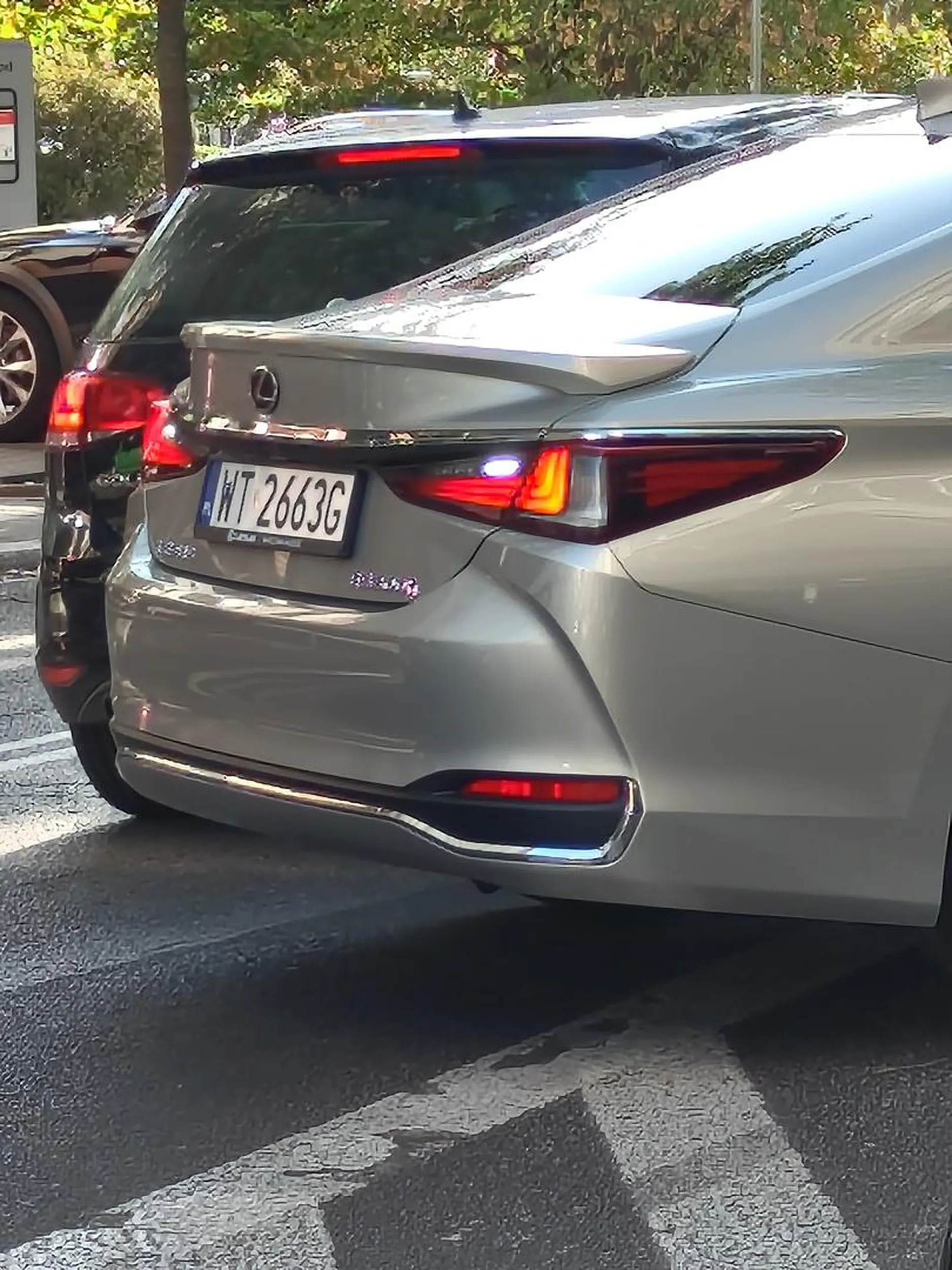 Miszcz parkowania. Zakaz zatrzymywania się i postoju + strefa jedni wyłączona z ruchu.