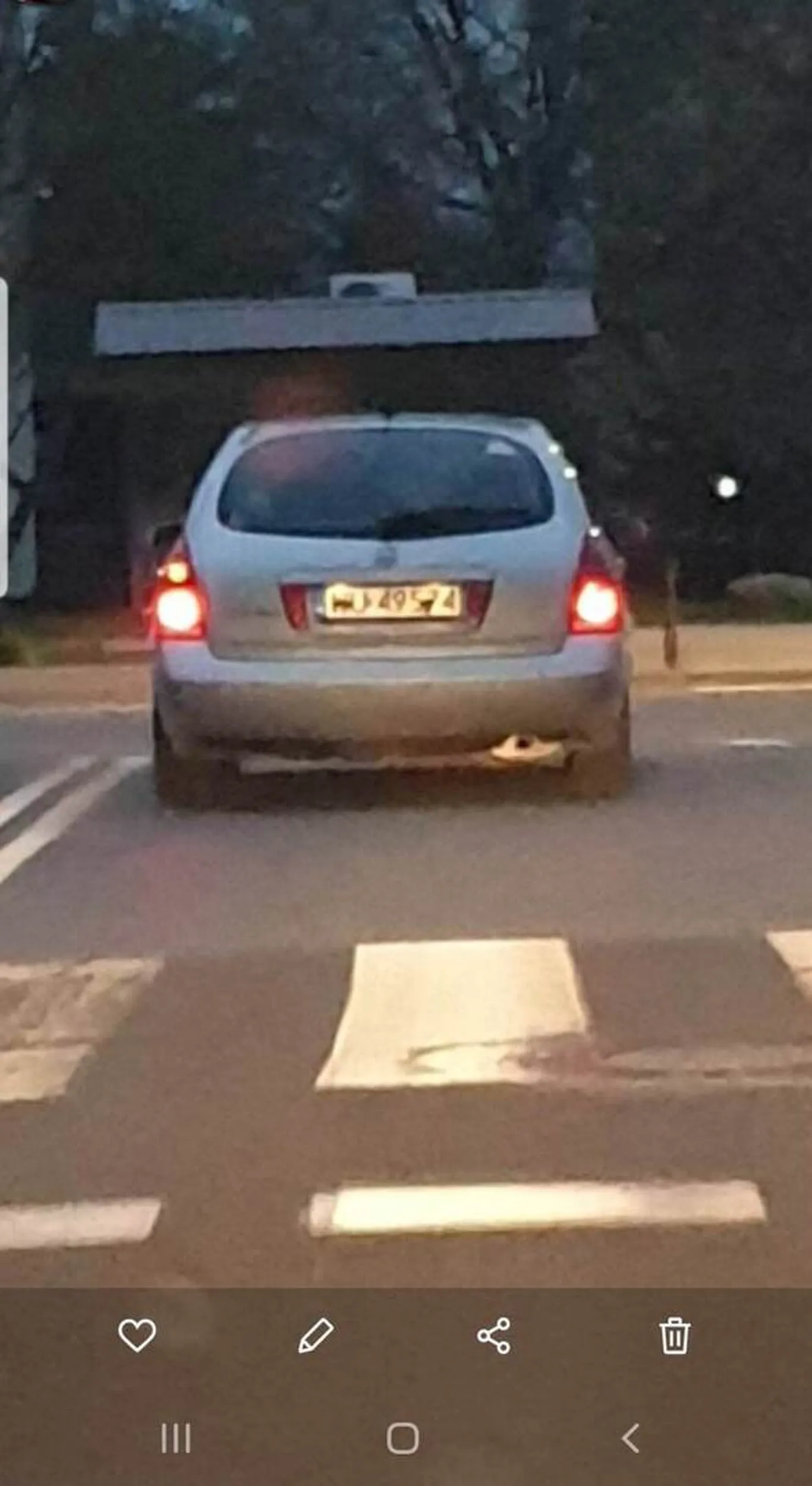 Próbowali w cztery osoby dla zabawy rozjechać koty mieszkające na ulicy jeziornej przy jeziorku Czerniakowskim.