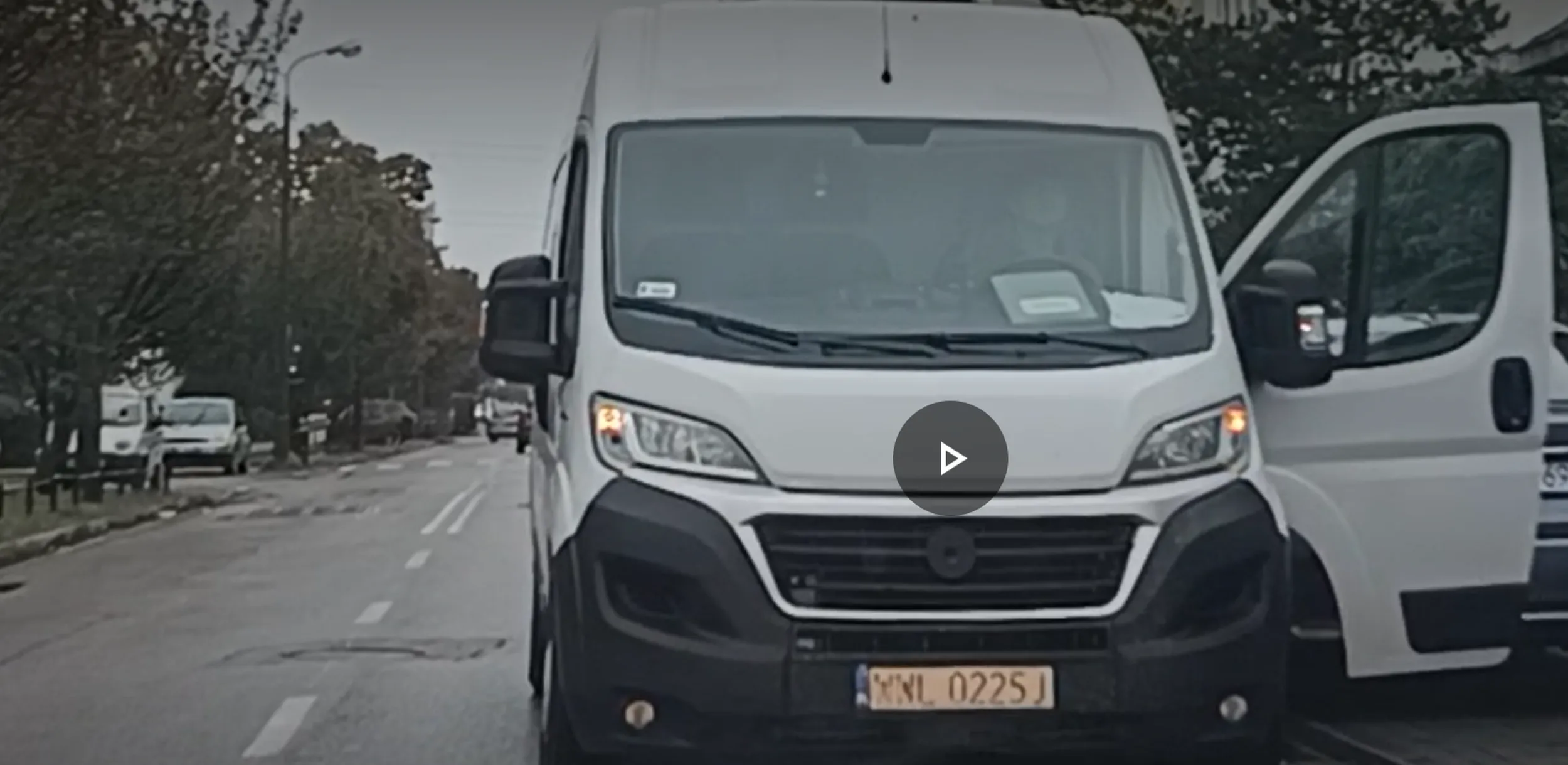 Ten "Miszczu" uwielbia parkować na jezdni przeznaczonej do ruchu w przeciwnym kierunku, często  tuż przed przejściem dla pieszych , w tym dla dzieci idących do szkoły, także zasłaniając widok i możliwość wyjazdu pojazdom parkującym w zatokach przy jezdni. Miszczowi należy zabrać prawo jazdy, zanim doprowadzi do wypadku. Miszczu!, wiem że dowozisz towar do sklepów, ale nie utrudniaj innym jazdy i nie powoduj zagrożenia, bo ktoś zginie przez CIEBIE !