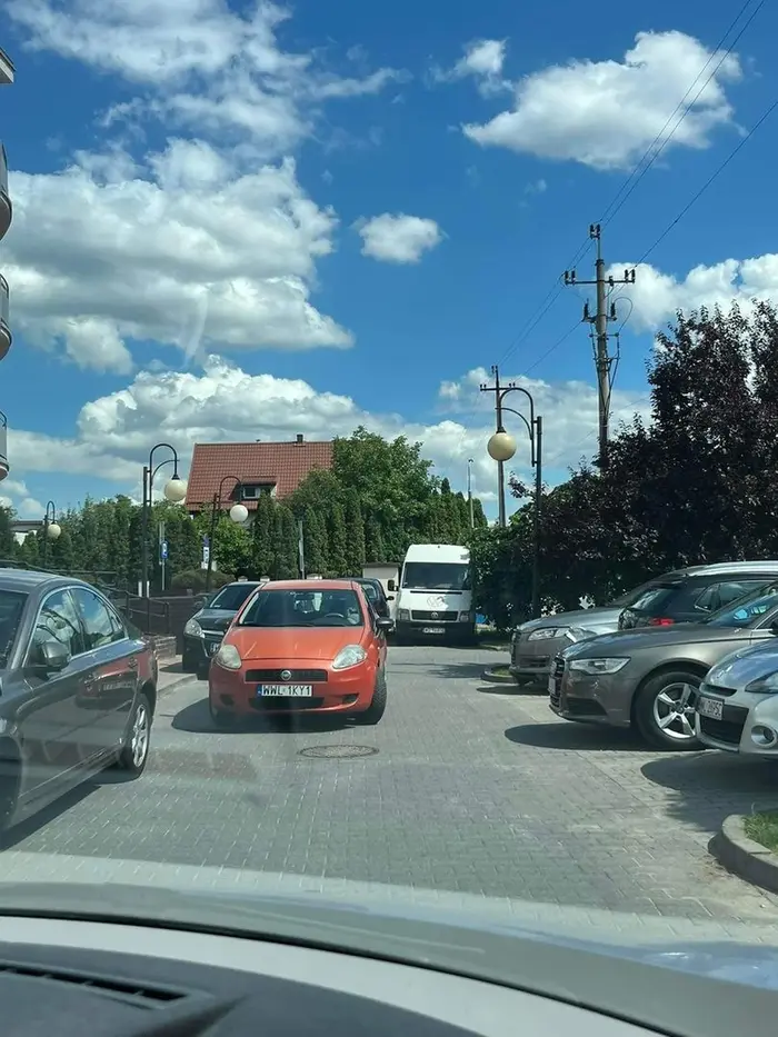 Pani w samochodzie kompletnie nie rozumie w jaki sposób najłatwiej udrożnić przejazd poprzez wykonanie jednego prostego manewru. Zamiast tego wysiada z samochodu, kłóci się, argumentując swoje zachowanie na drodze tym, że przywiozła chorego kota. Następnie zamyka samochód i oddala się od niego dalej blokując przejazd. Po krótkiej kłótni można stwierdzić, iż pani kierowca posiada spore braki w wiedzy dotyczącej przepisów ruchu drogowego.