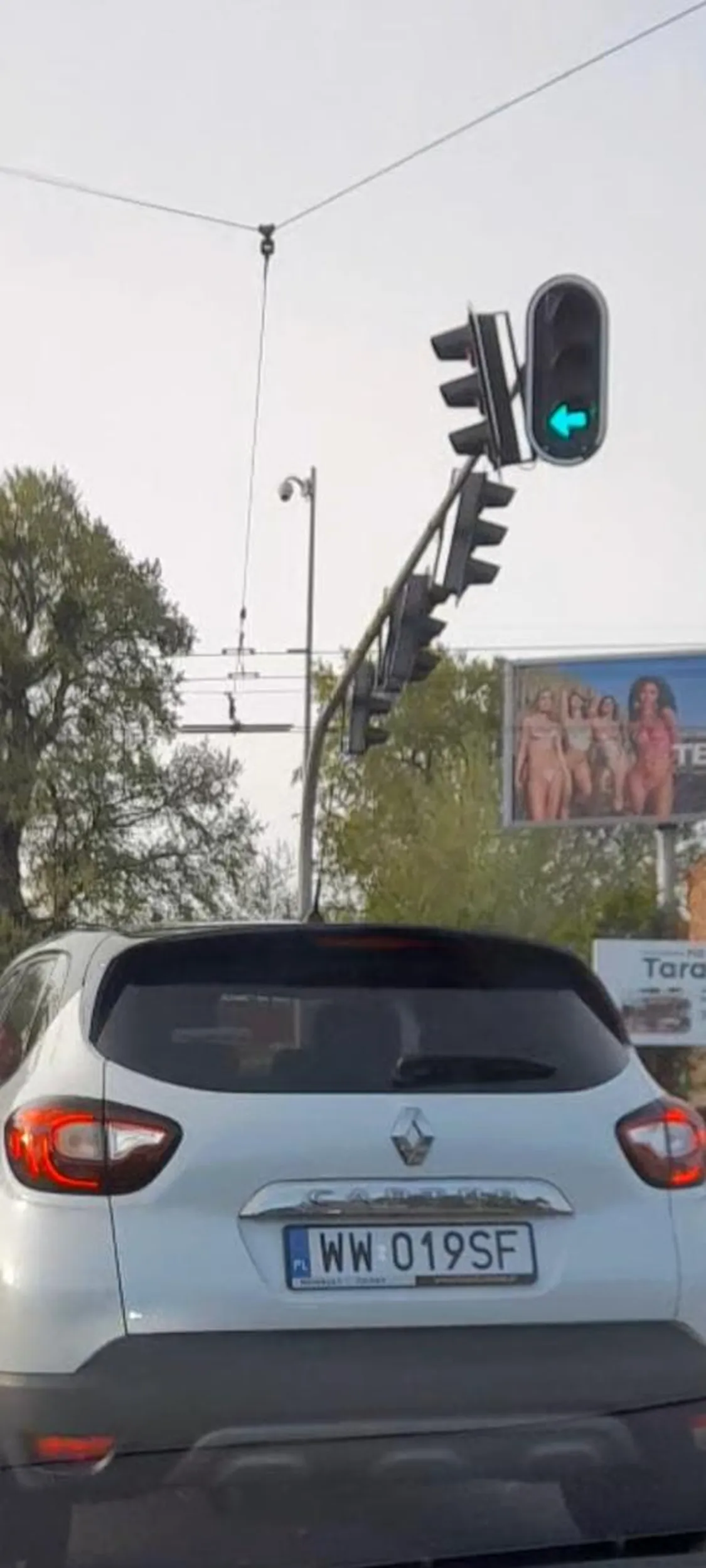 Blondi używamy kierunków nie jesteś sama na drodze