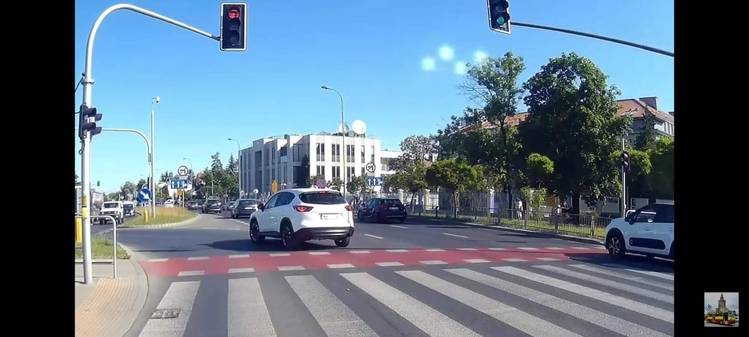 Buraczek, cwaniaczek, oszukuje nawet na lewoskręcie. A jak się zachowuje w życiu codziennym?