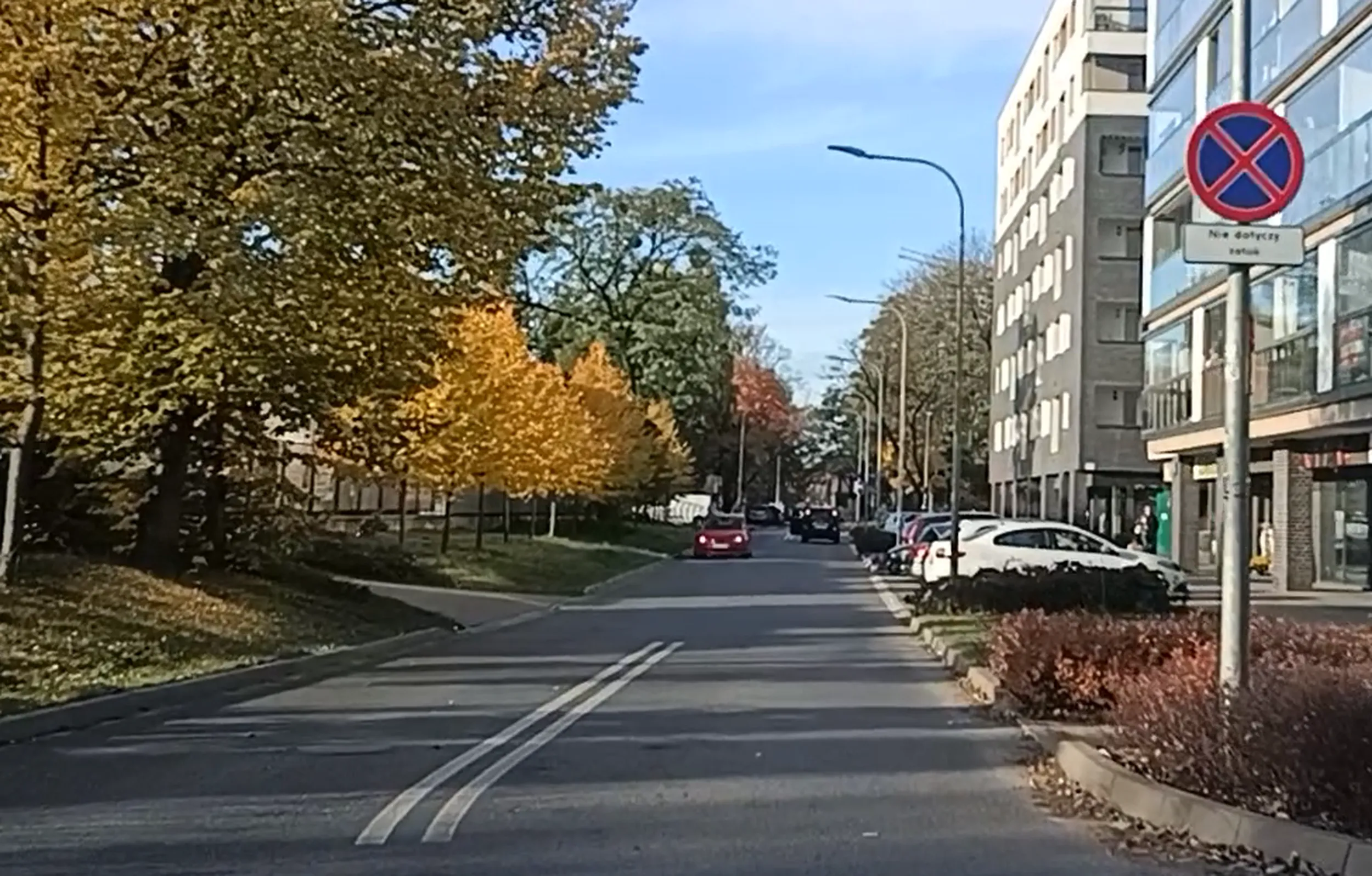 Oto wszystkie "dokonania życiowe" tej kierującej: 1. Nielegalne parkowanie w miejscu zakazu na ulicy Dyrekcyjnej w Warszawie i parkowanie przed skrzyżowaniem. 2. Pokazywanie po chamsku palca "fakulca" innym kierującym.