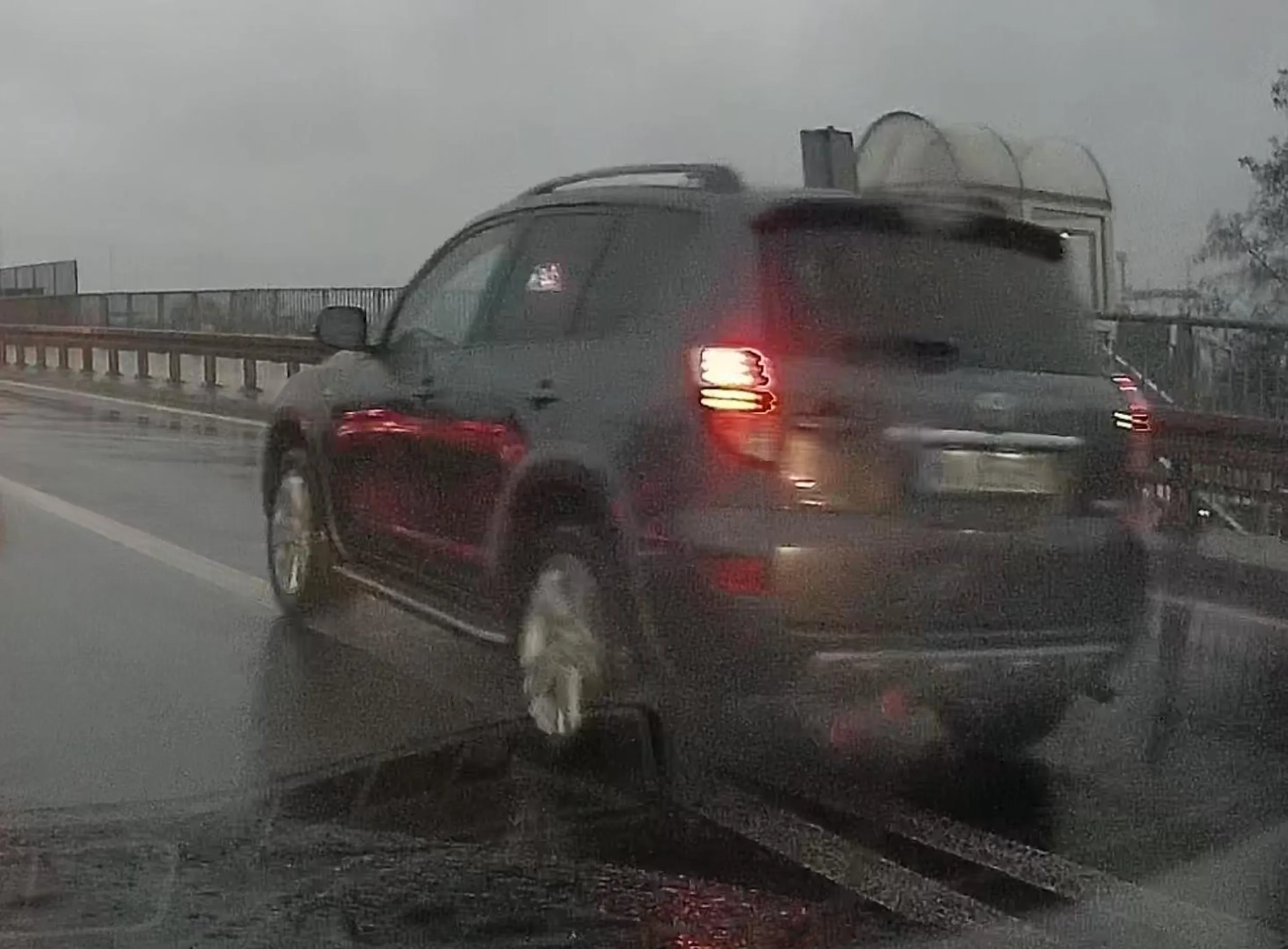 Cwaniaczek omija korek po powierzchni wyłączonej oraz linii ciągłej.