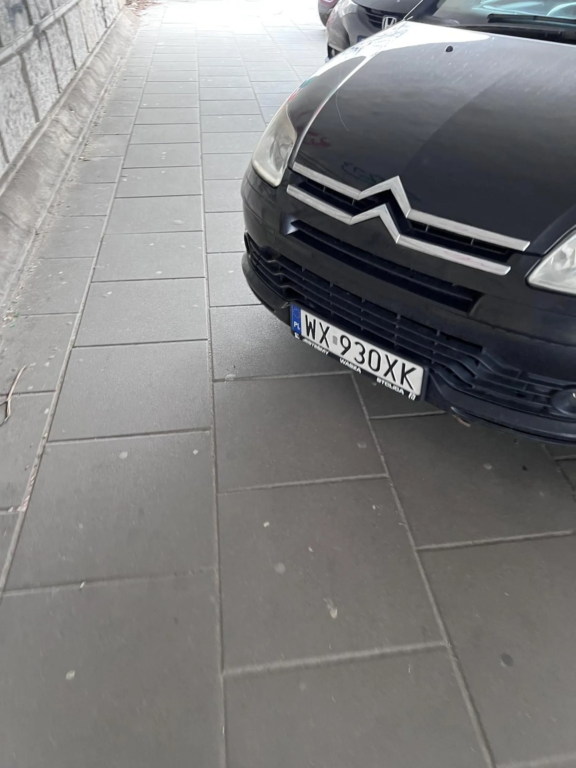 Iloraz inteligencji orangutana nie pozwala zaparkować tak żeby nie utrudniać ruchu pieszego.