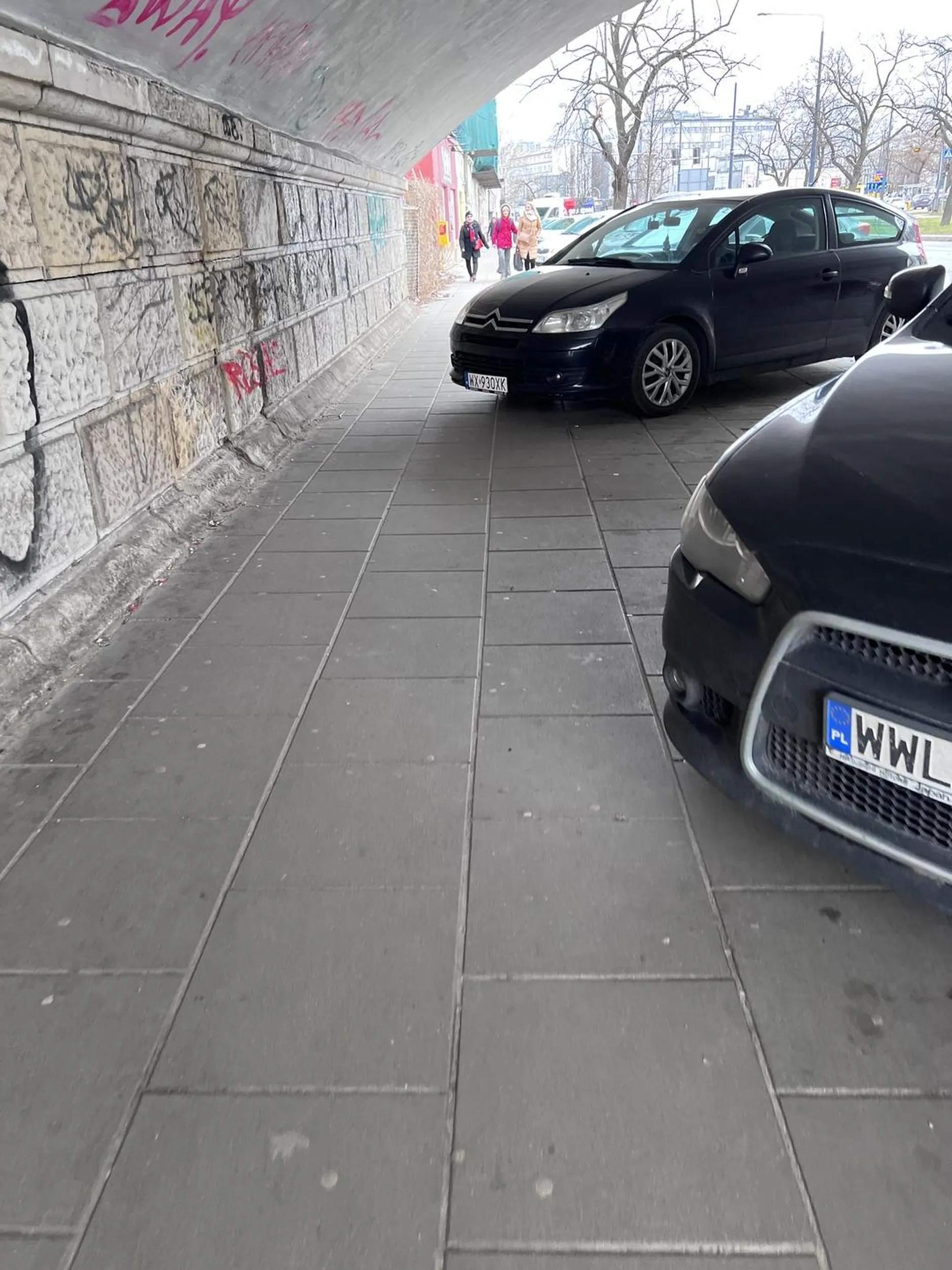 Iloraz inteligencji orangutana nie pozwala zaparkować tak żeby nie utrudniać ruchu pieszego.