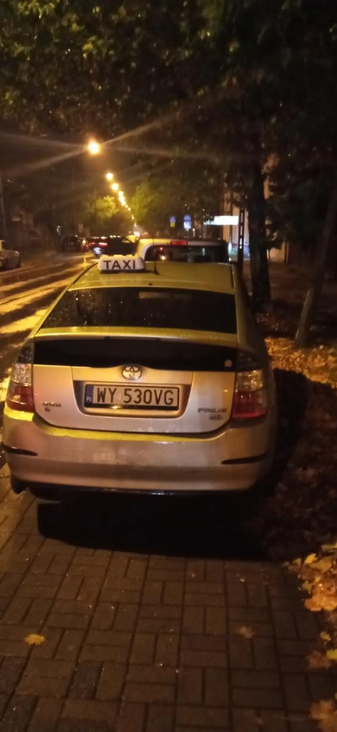 Głąb myśli że jest jeździ rowerem i może stawać i utrudniać ruch innym na drodze rowerowej