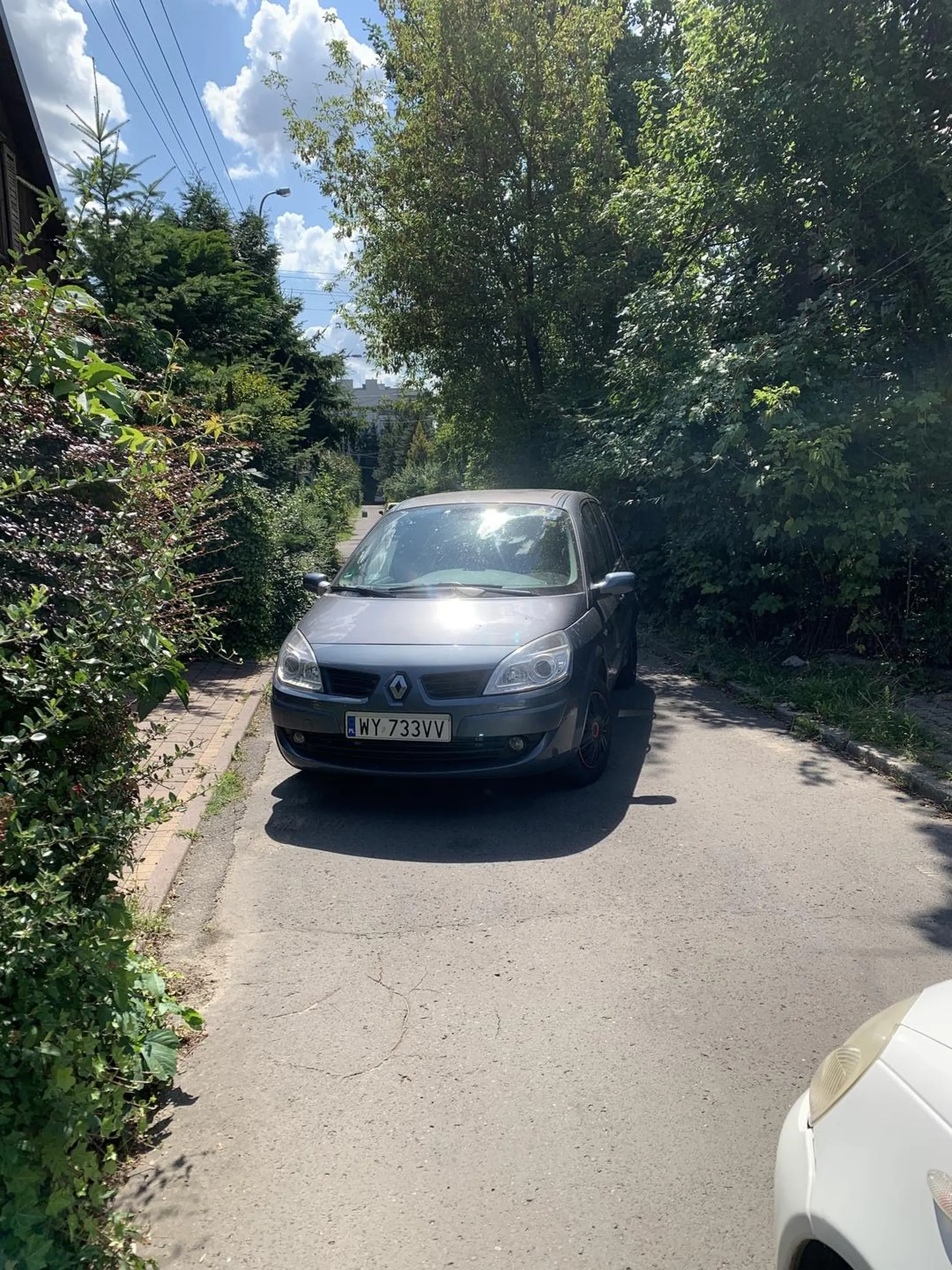 Nie polecam nikomu spotkania z tym starszym panem, żal mi go i jego rodziny, bo cyrk robi pod własnym domem, wyjeżdża pod jadący głowną drogą samochód i wymusza pierwszeństwo strasząc policją i idzie do domu, szczuje psem