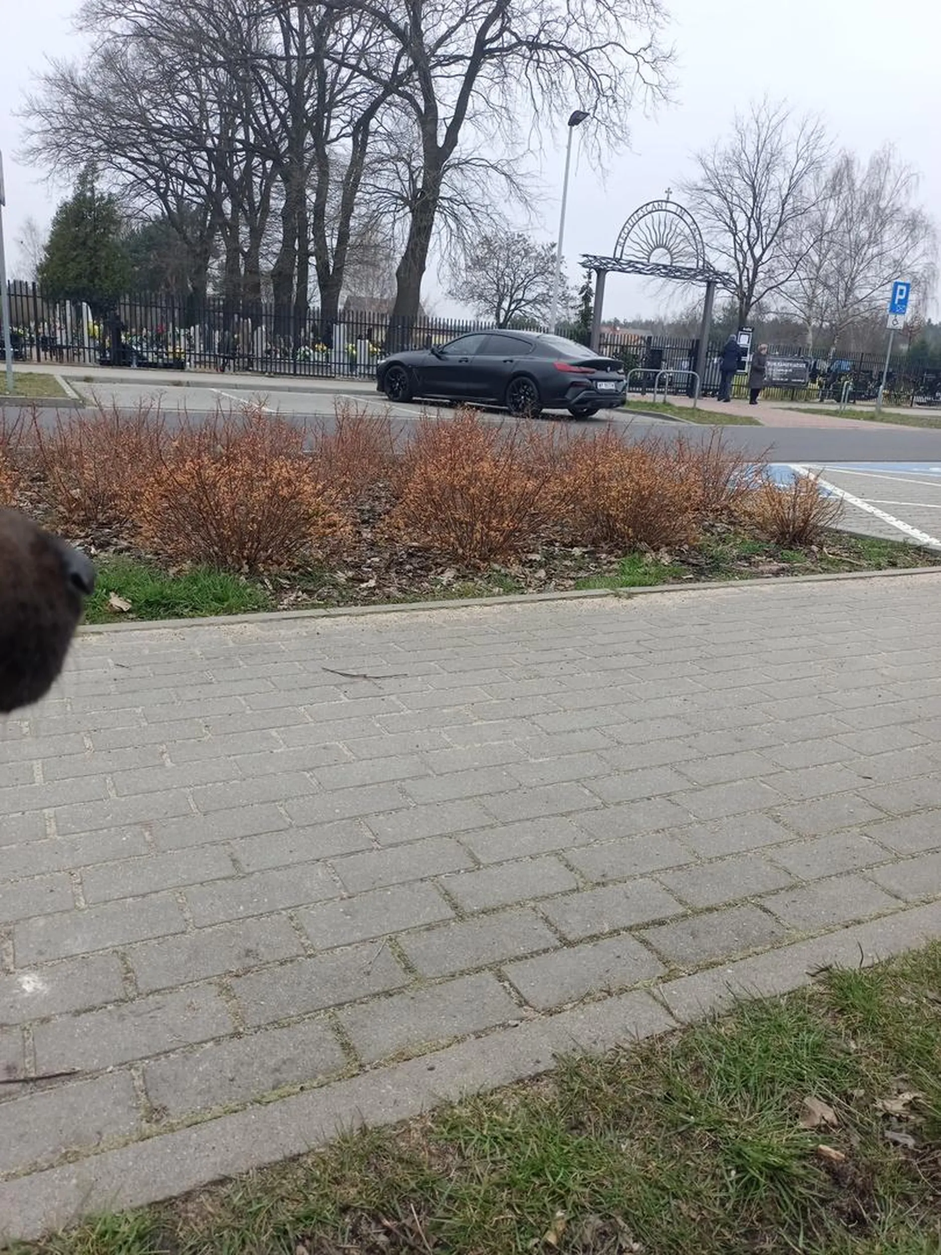 Parkowanie wielkiego panicza