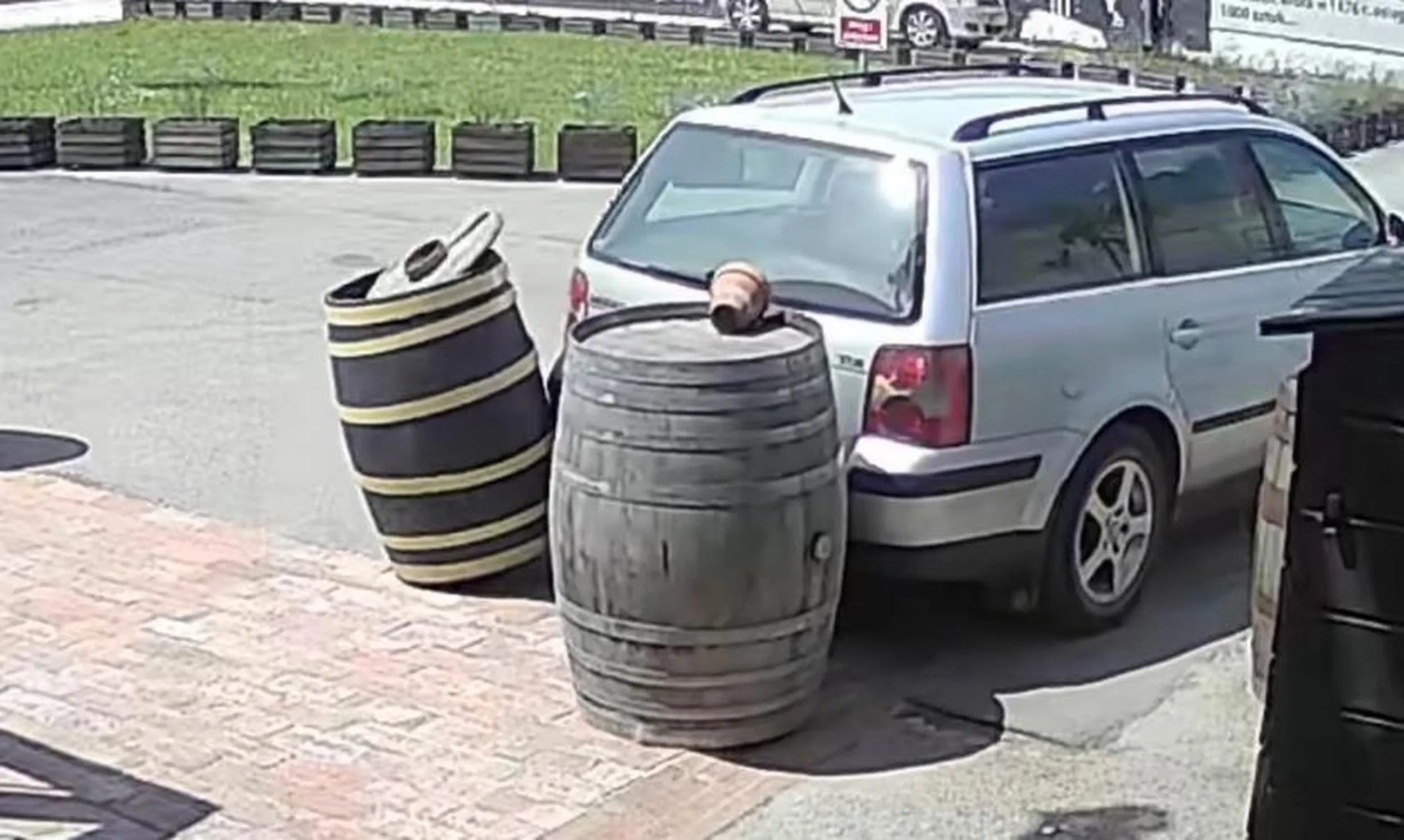 Uwaga, toczy nierówną walkę z beczkami.