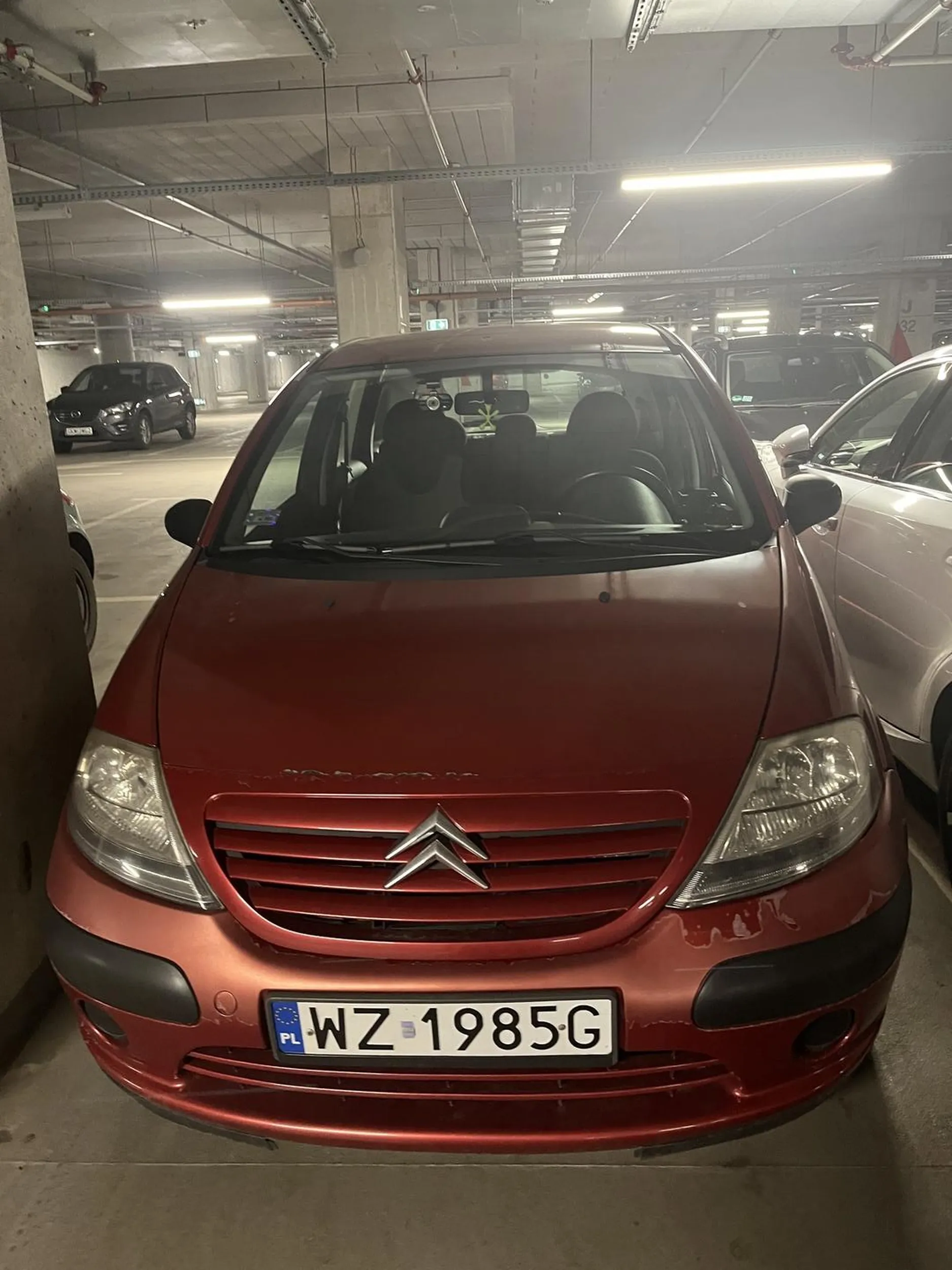 Wiesniara z kamerką online