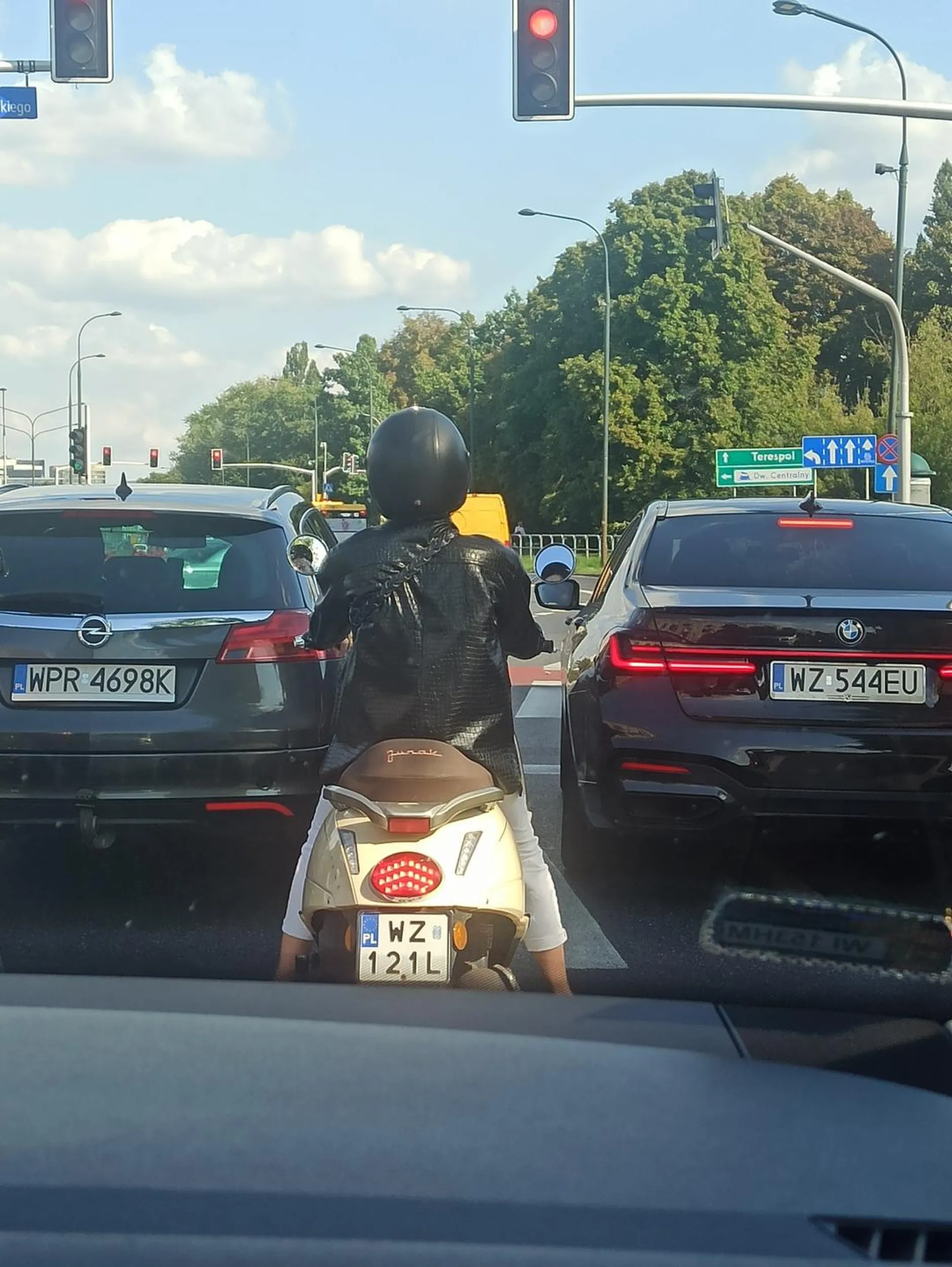 Bezmuzgi urządzają wyścig. Slalomem między innymi autami.