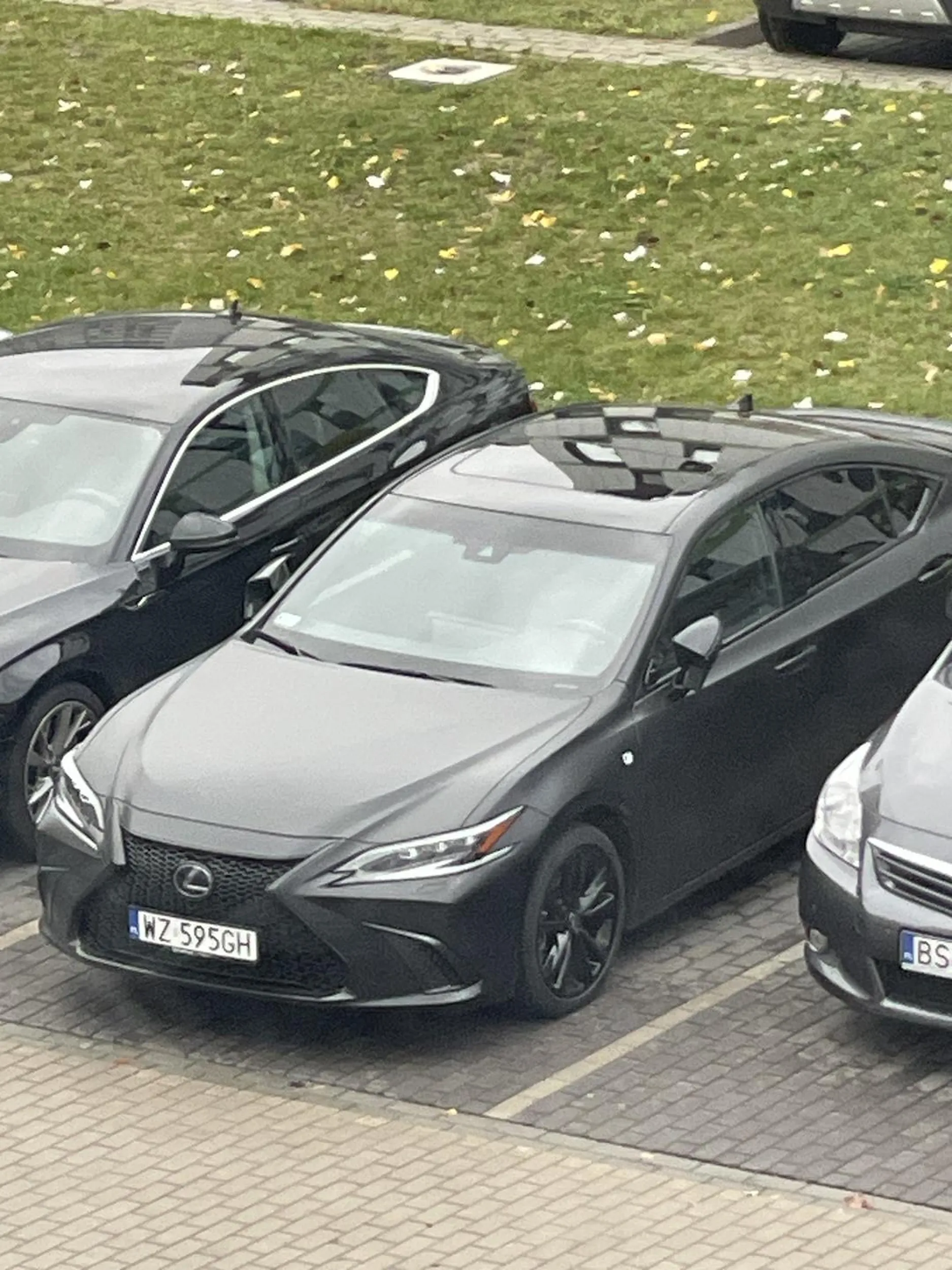 bardzo ładnie parkuje