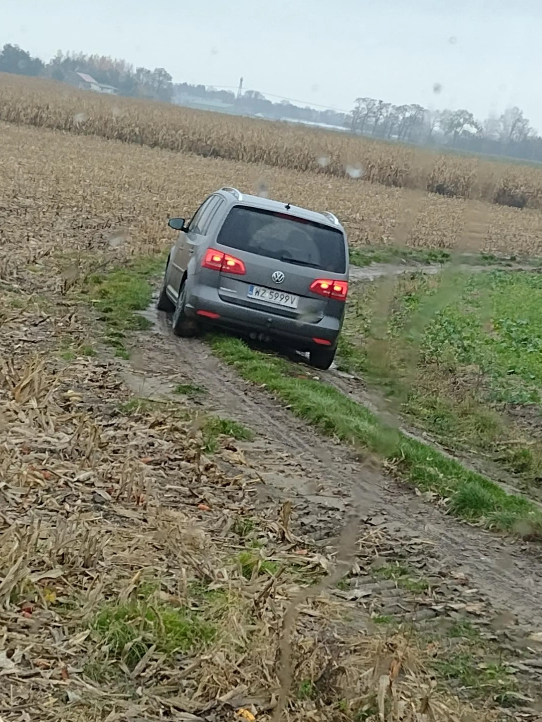 Teresin okolice często jeździ nieuchwytnie na po %%%