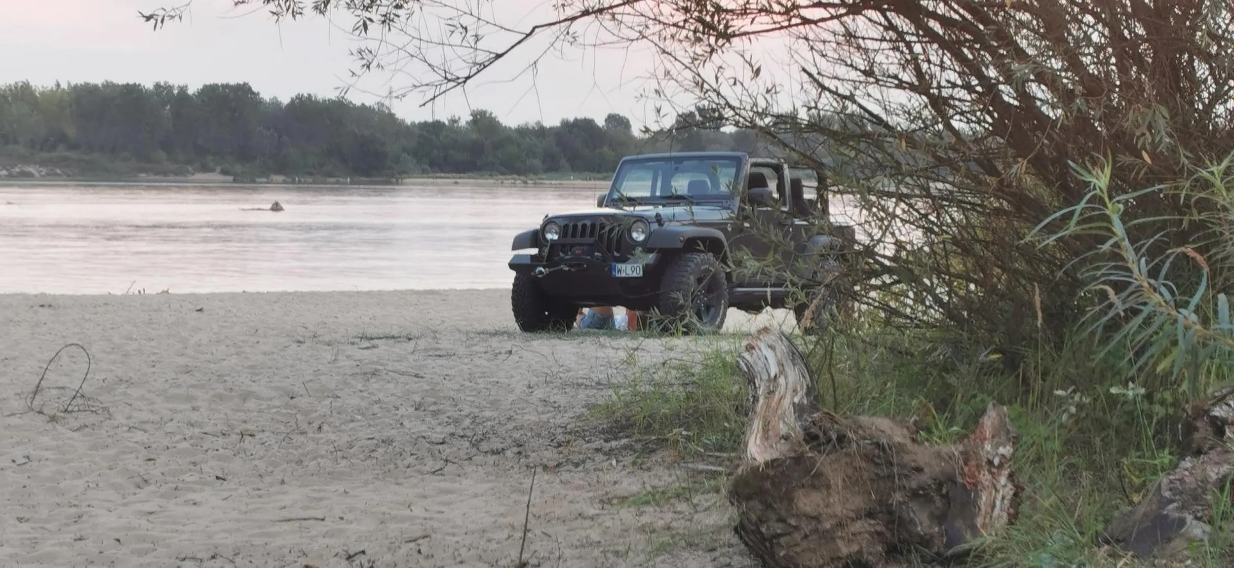 Stały bywalec rezerwatu Wyspy Świderskie.