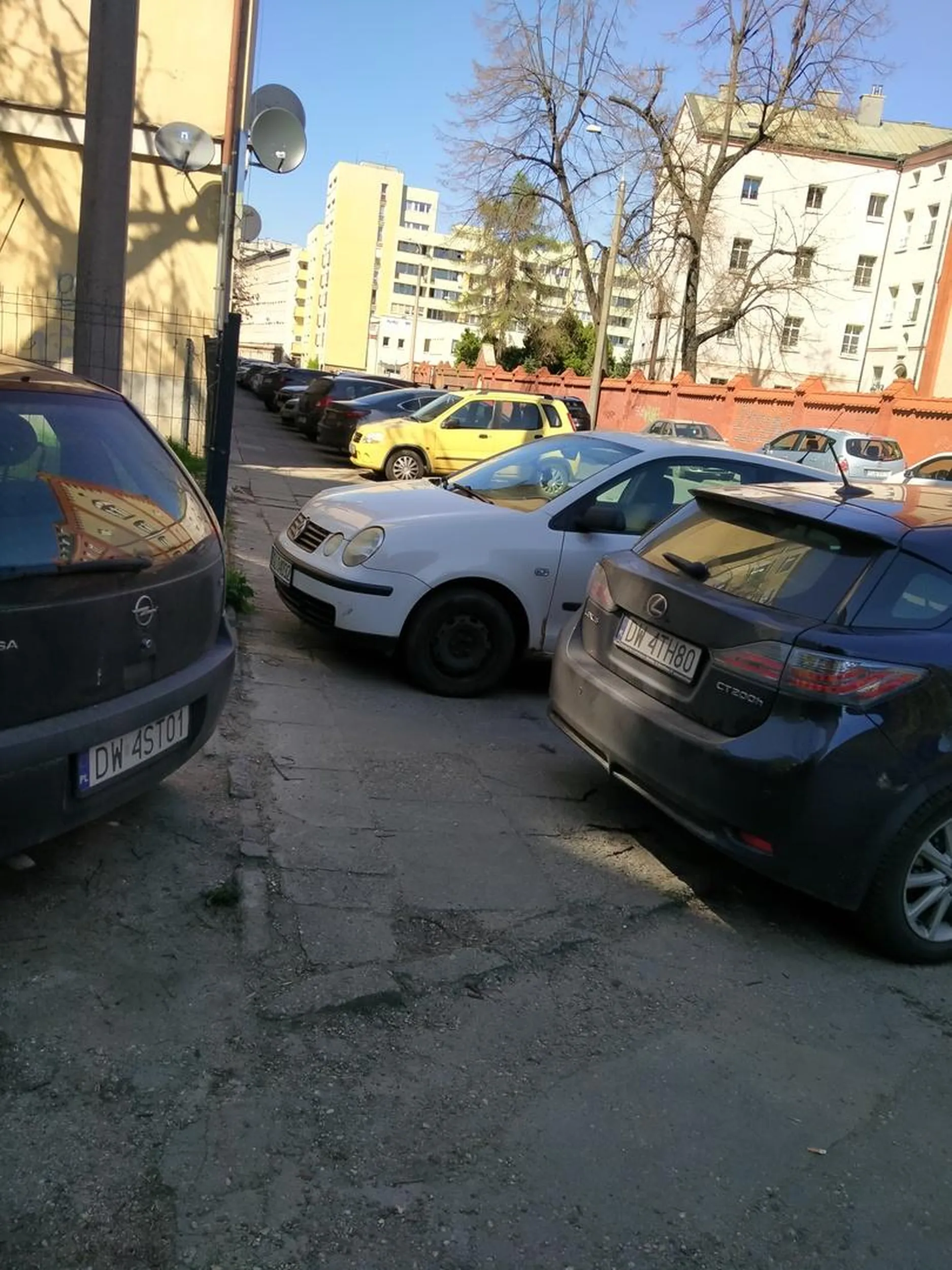 Brawo. Wrocław 22.04.2023