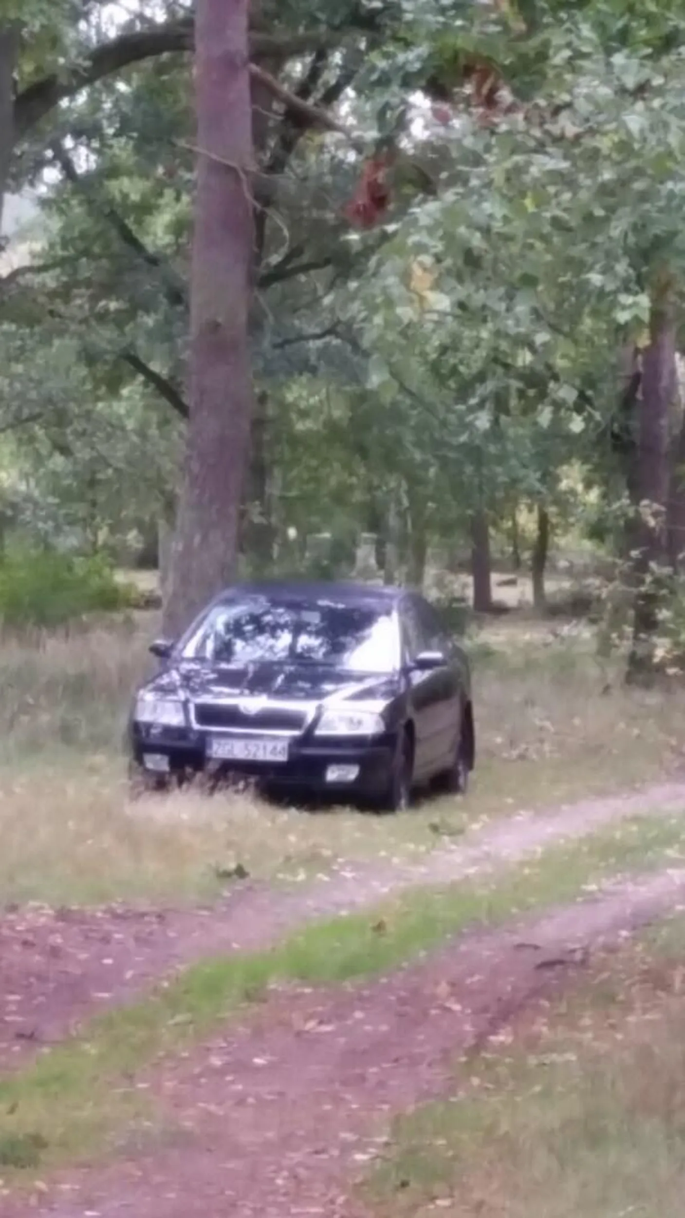 Jeździ po lesie w okolicach Rurzycy nadleśnictwo Kliniska. Tereny Natura 2000 z zakazem wjazdu.