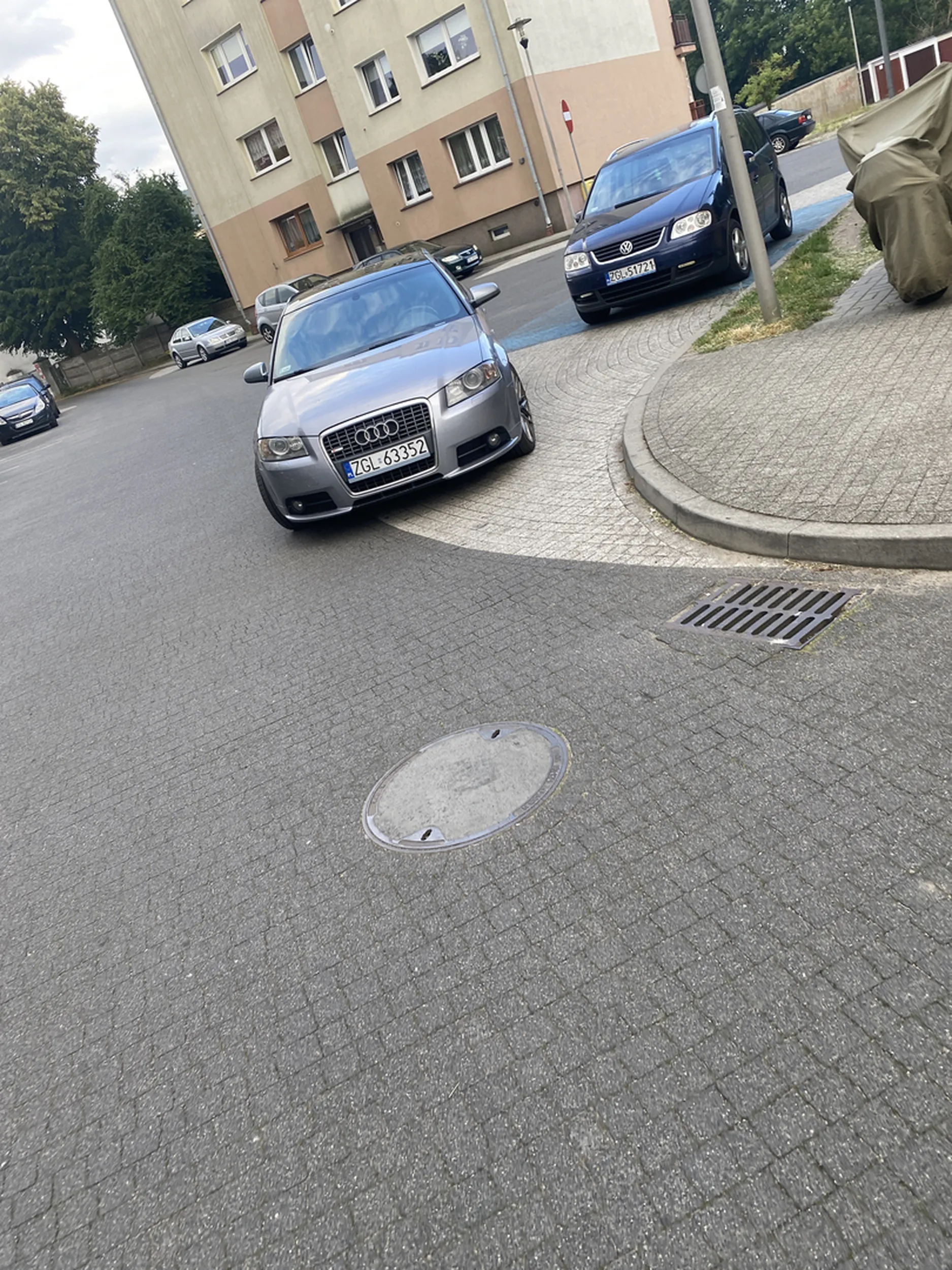 Zwykły imbecyl, ostatnio przejechał mnie prawie na pasach i słucha Zenka Martyniuka na maksymalnej głośności