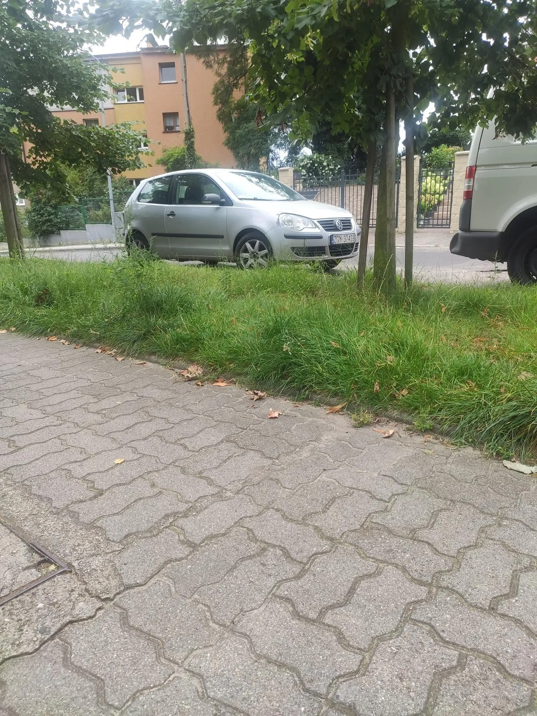 Świetna dziewczyna ☺️