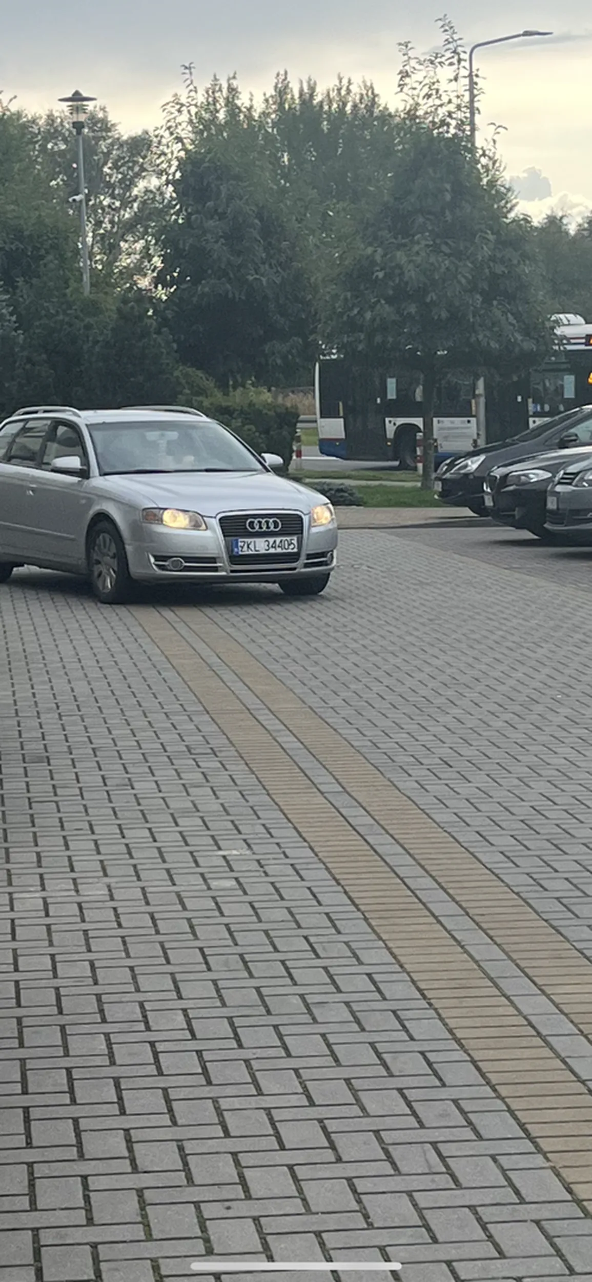 Burak kozaczący do kobiet.