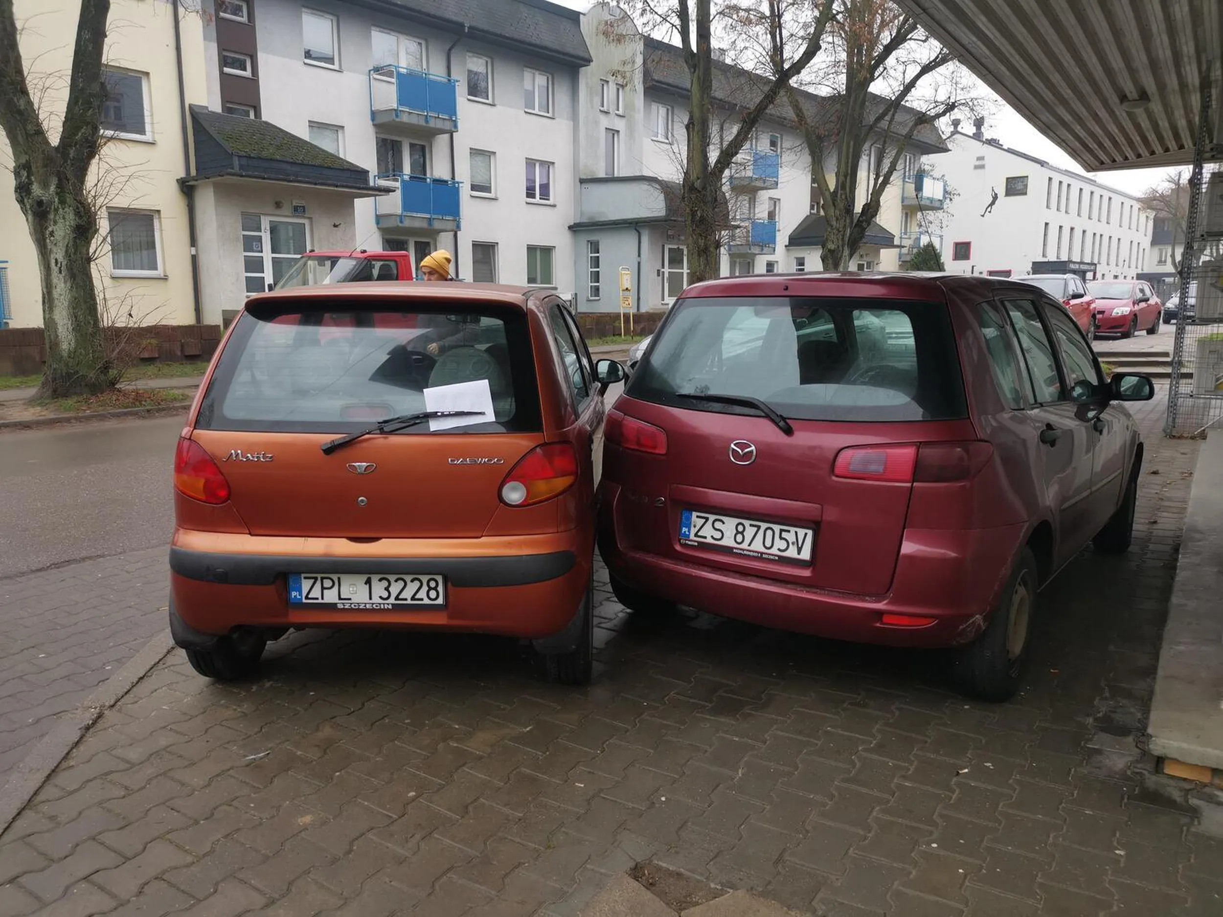 Upośledzony babsztyl i konfident