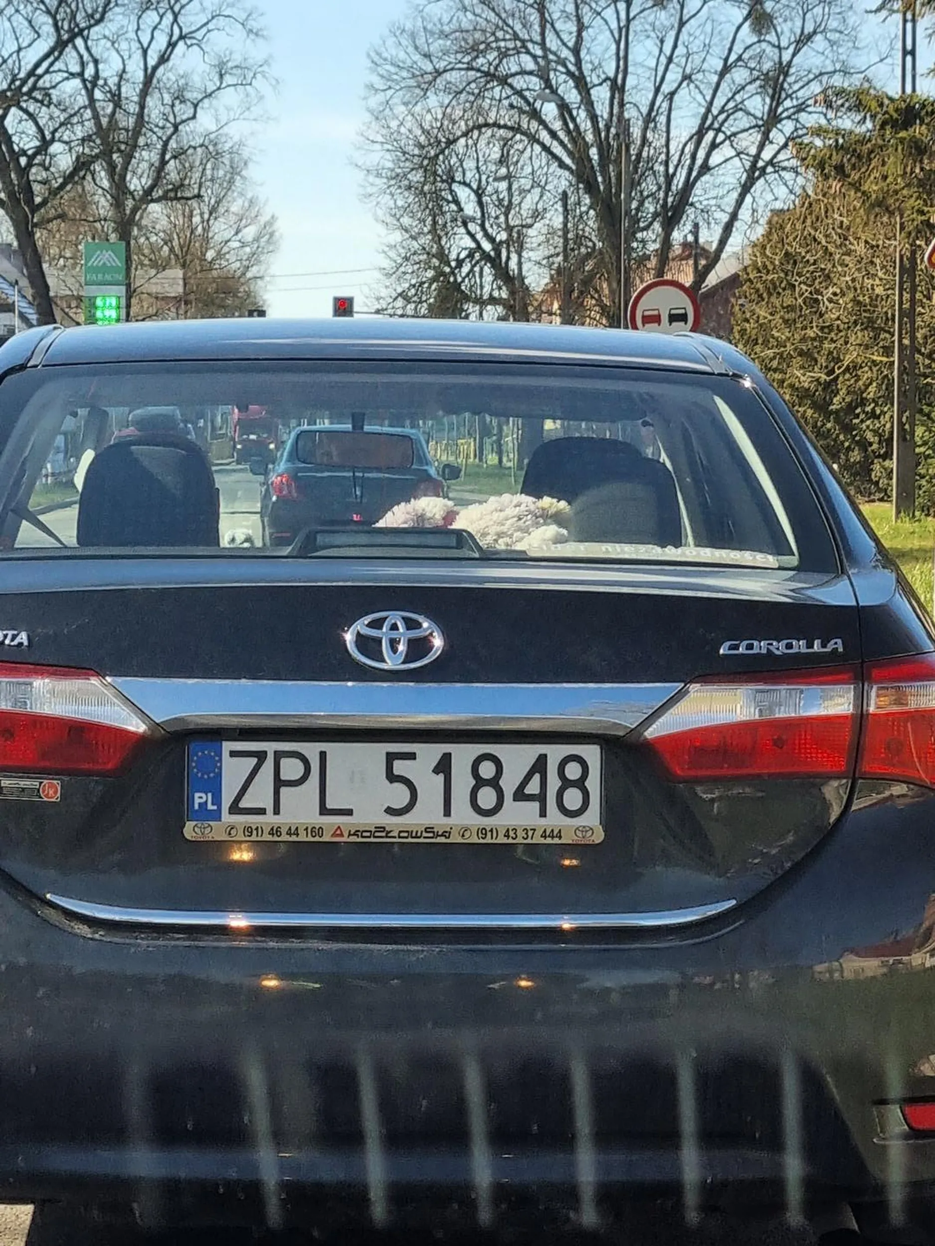 Uwaga na gościa na pięćdziesiątce zwalnia do 30 przyspiesza, a później gwałtownie hamuje.