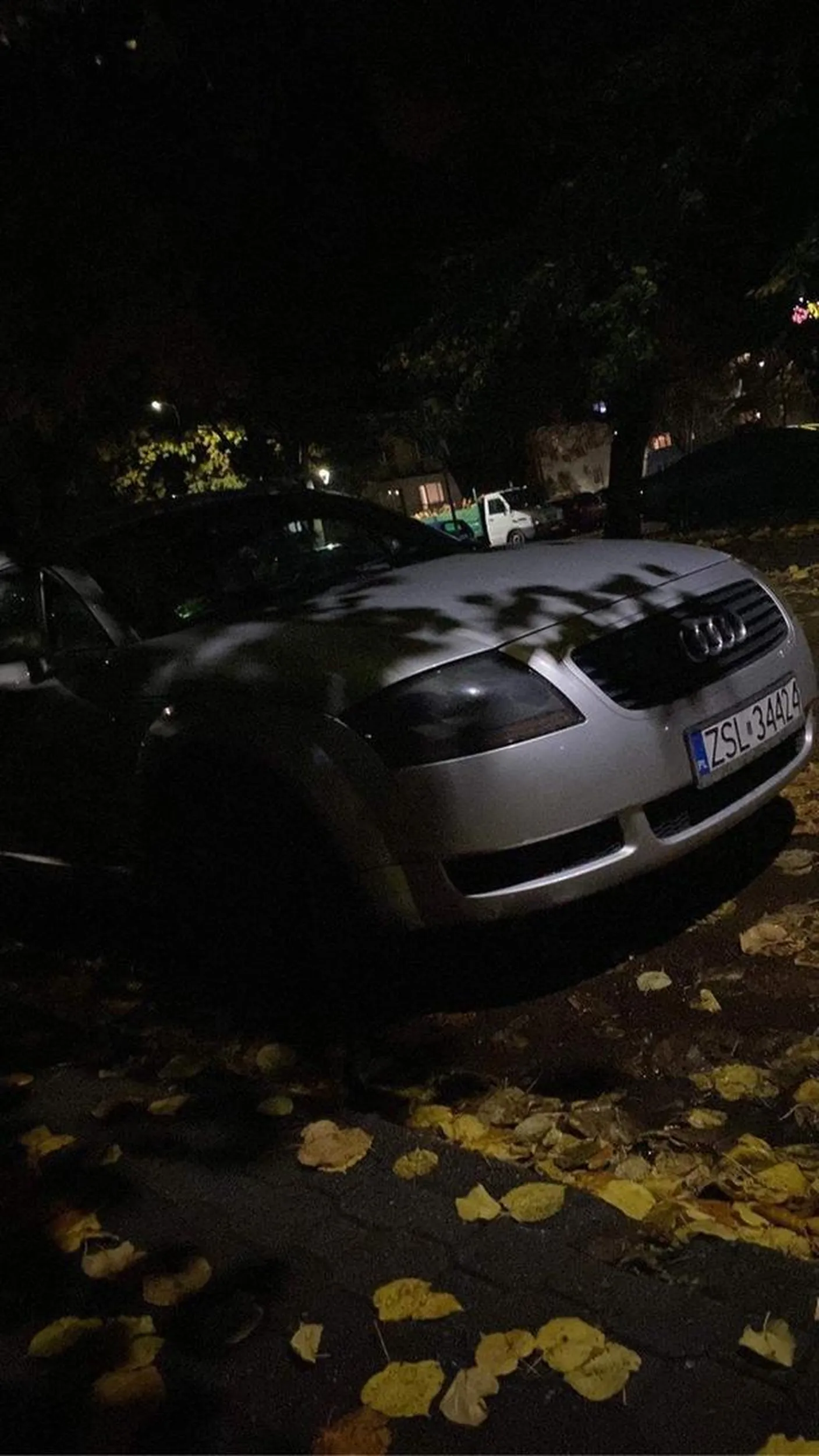 Właściciel niedość że upośledzony agresywny (wozi z sobą stalowy kij) to do tego kolory czekolady mlecznej . Poluje nieraz pod McDonaldami i innymi miejcami spotkań na naiwne młode dziewczynki w wieku 17-20 . Sam jak pracuje to tylko na jakiś czas bo to typowy nierób