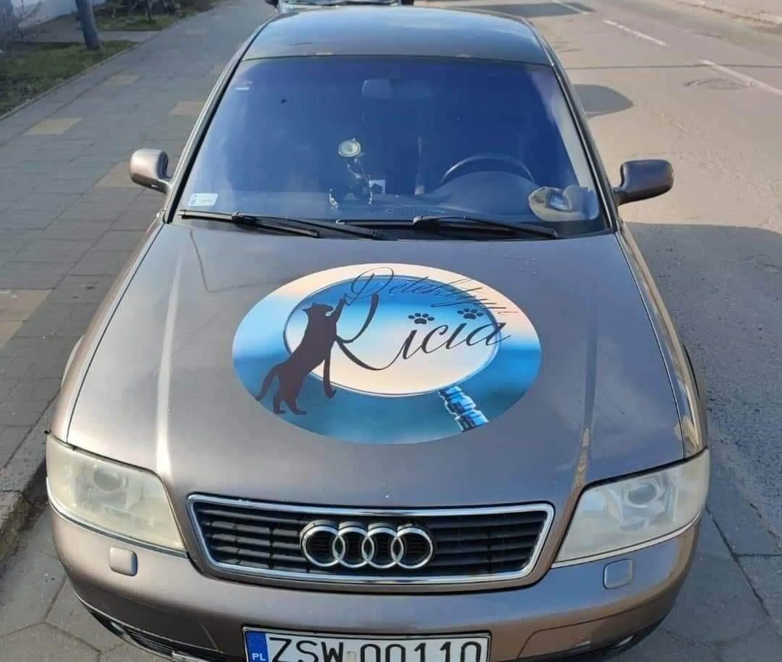 Detektyw Kicia i Czarne koty na Tropie rozwiązania zagadki, bardzo kreatywna właścicielka pojazdu. Na aucie widziałam karty, podkowy, pióra, WOŚP, witaj szkoło kredą w sprayu i duchy na Helloween