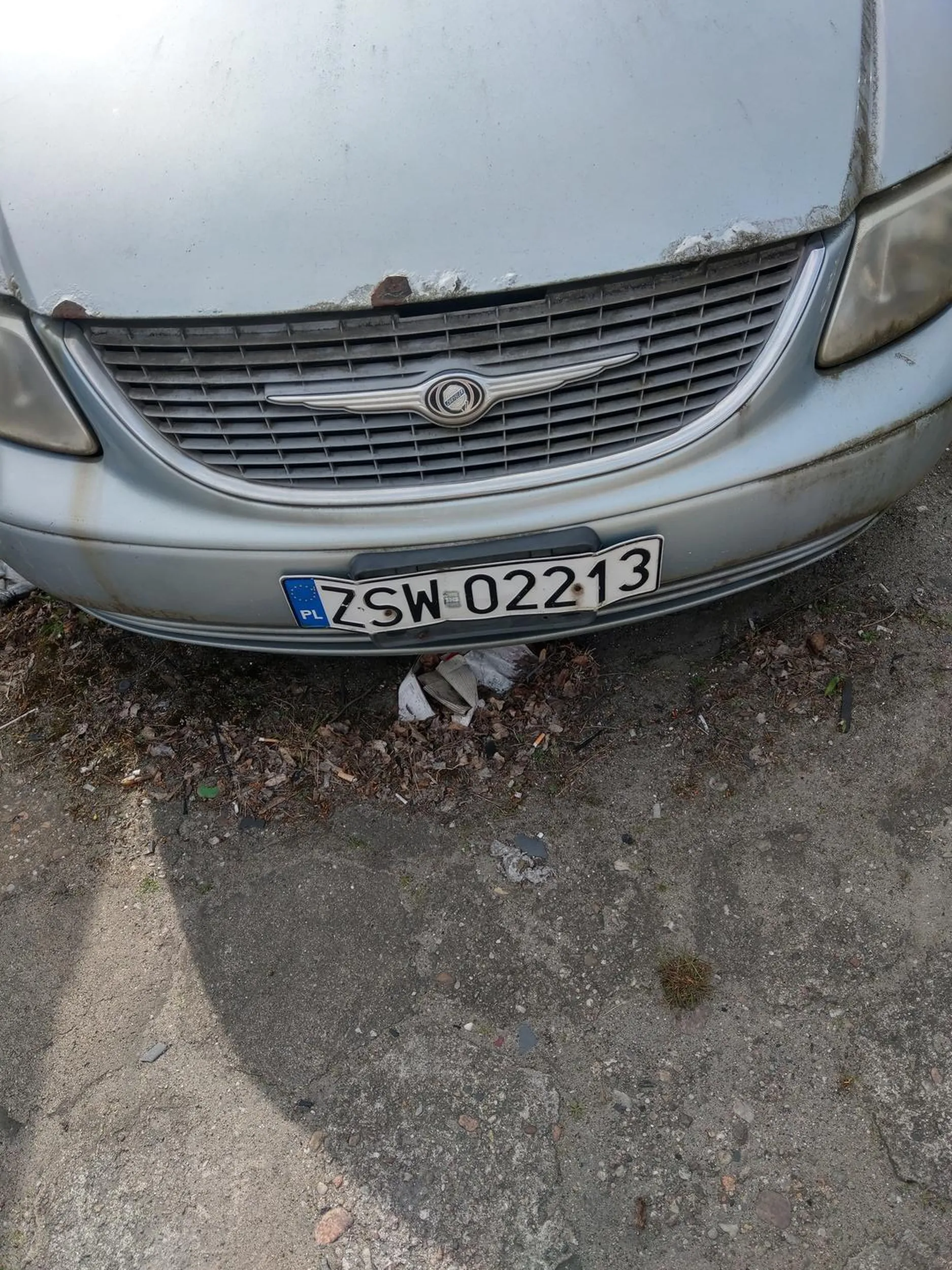 poszukuje właściciela