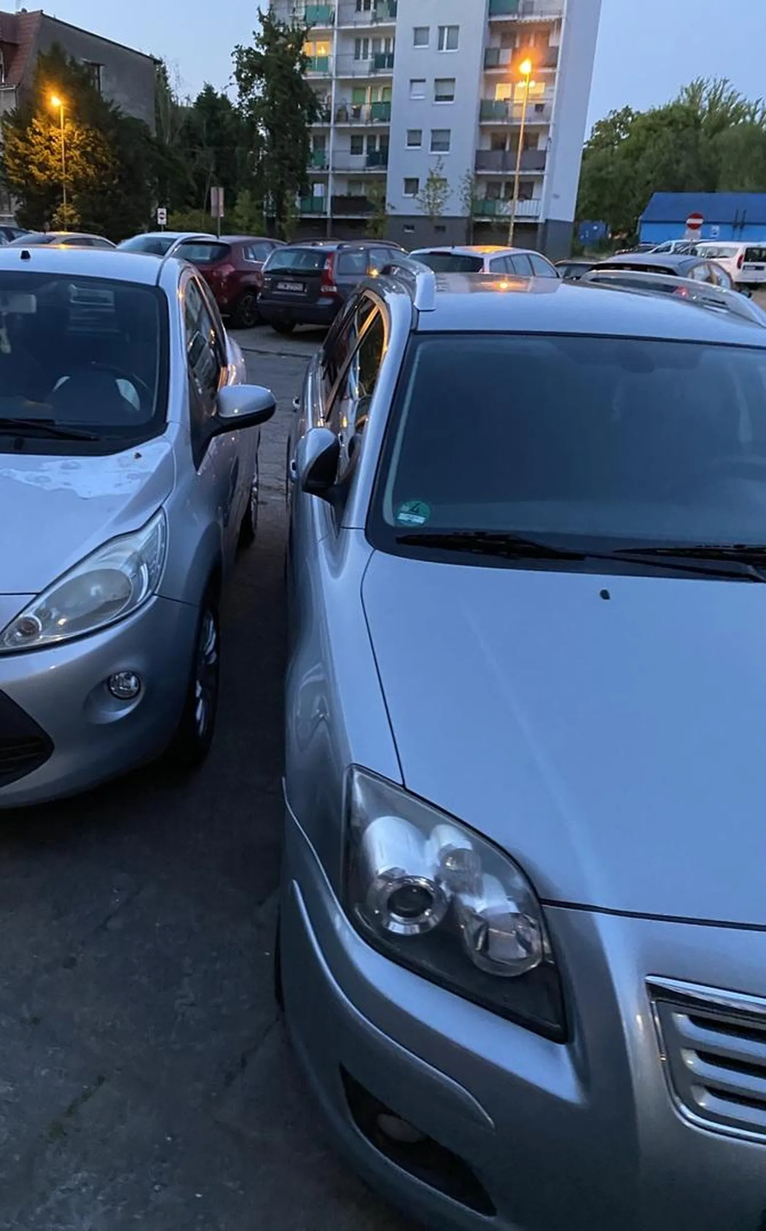 Naucz się parkować, czereśniaku