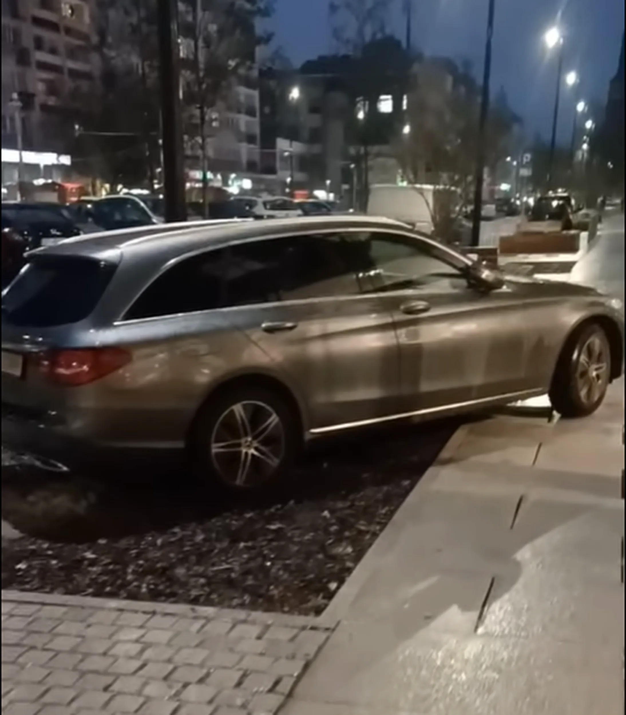 "Mistż" parkowania na świeżo wyremontowanej ulicy Wojska Polskiego w Szczecinie z nowymi nasadzeniami drzew.