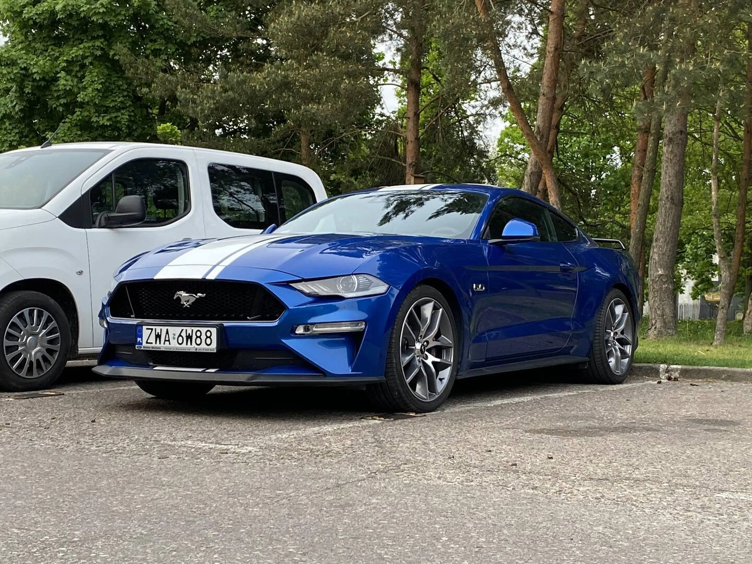 Jakiś fagas ci zrobił zdjęcie